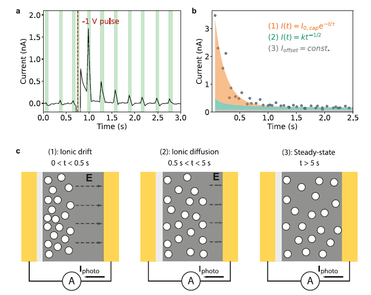 Research Paper — Microscale Optoelectronic Synapses with Switchable Photocurrent from Halide Perovskite