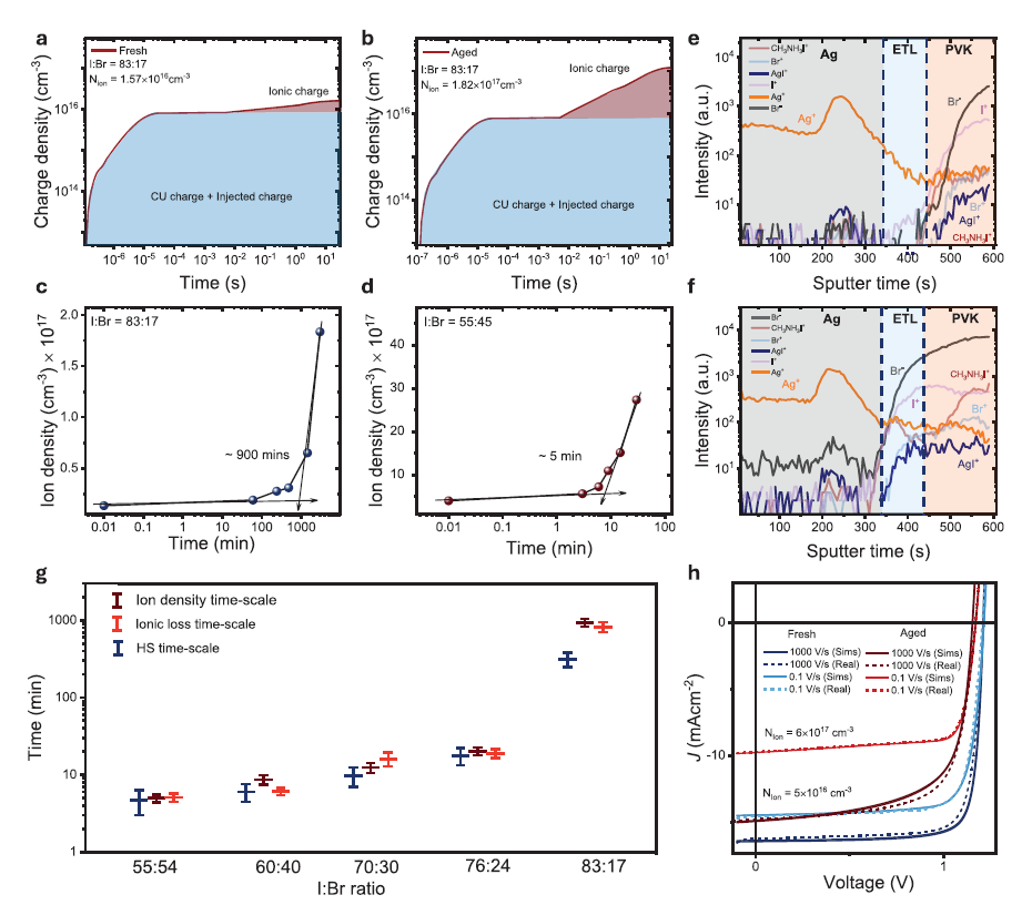 Bias-assisted charge extraction, TOF-SIMS, and Setfos drift-diffusion simulations showing how halide segregation increases ion density and ionic losses in wide-bandgap perovskite solar cells.