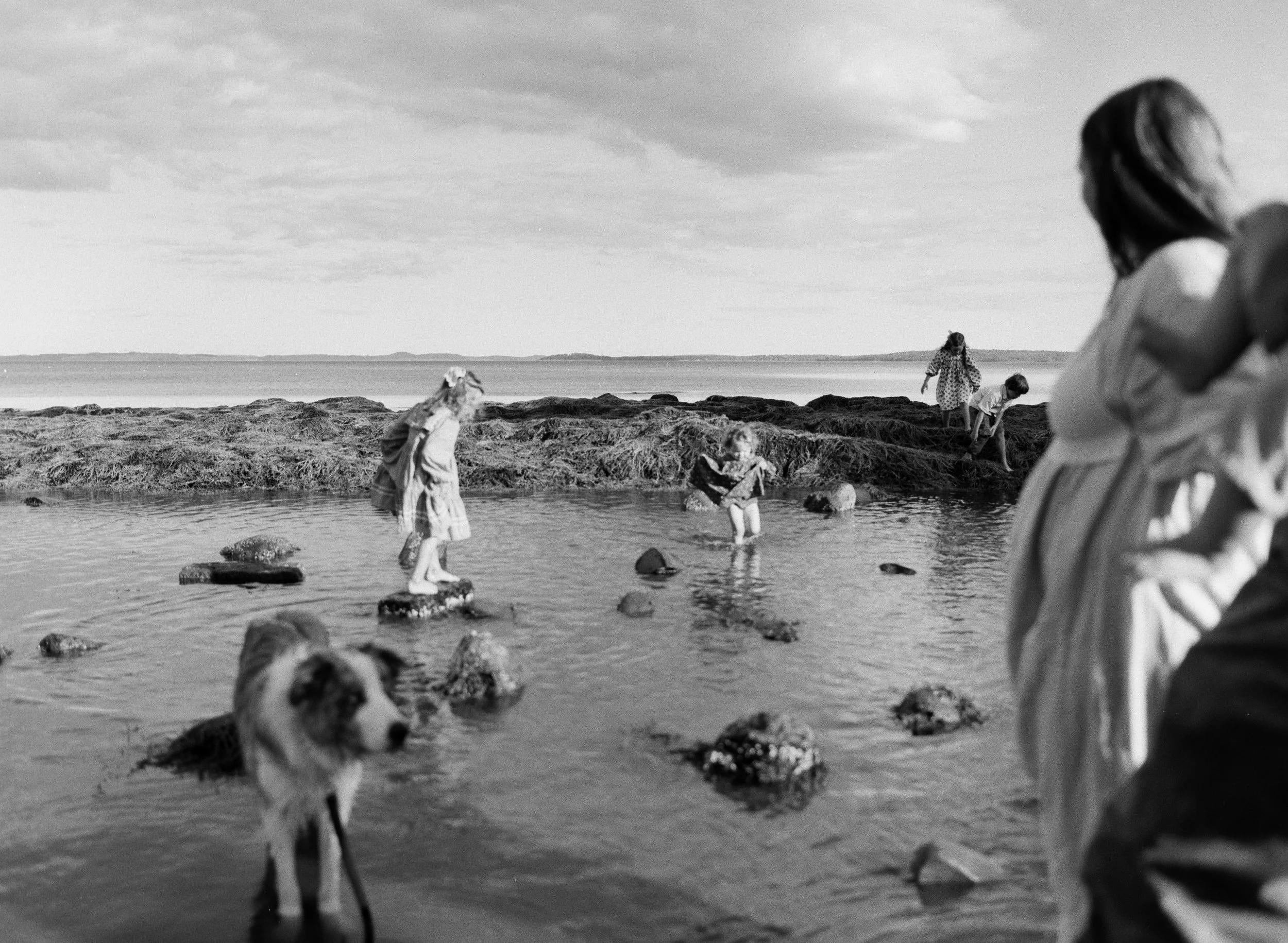 family family photos in midcoast maine