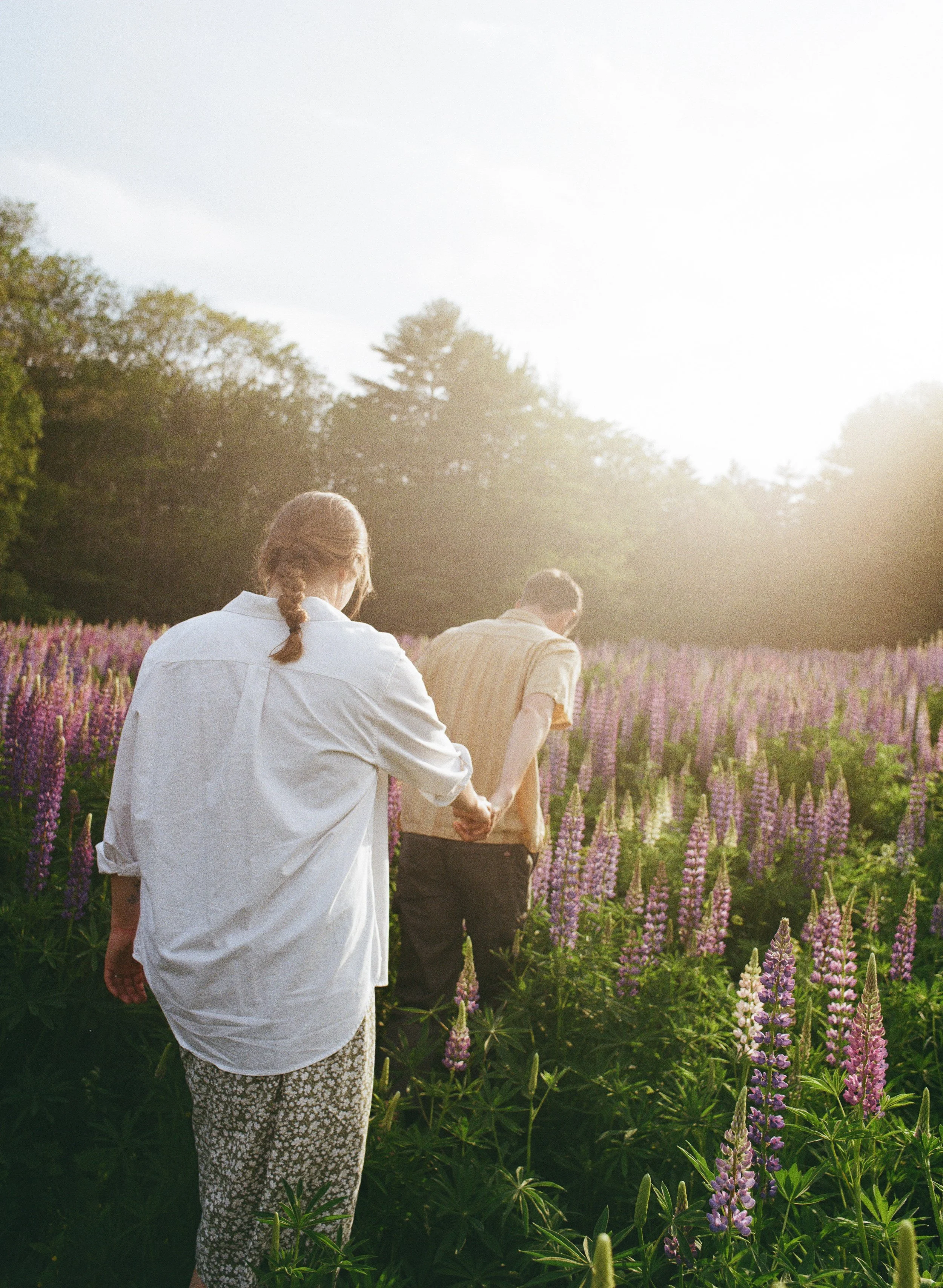 a man leads a women through a lupine field during their engagement session in midcoast maine