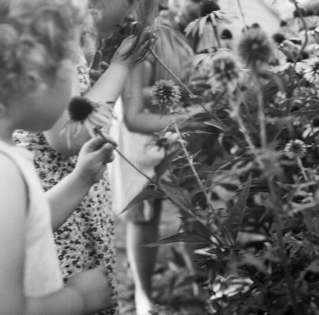 Maine family photography