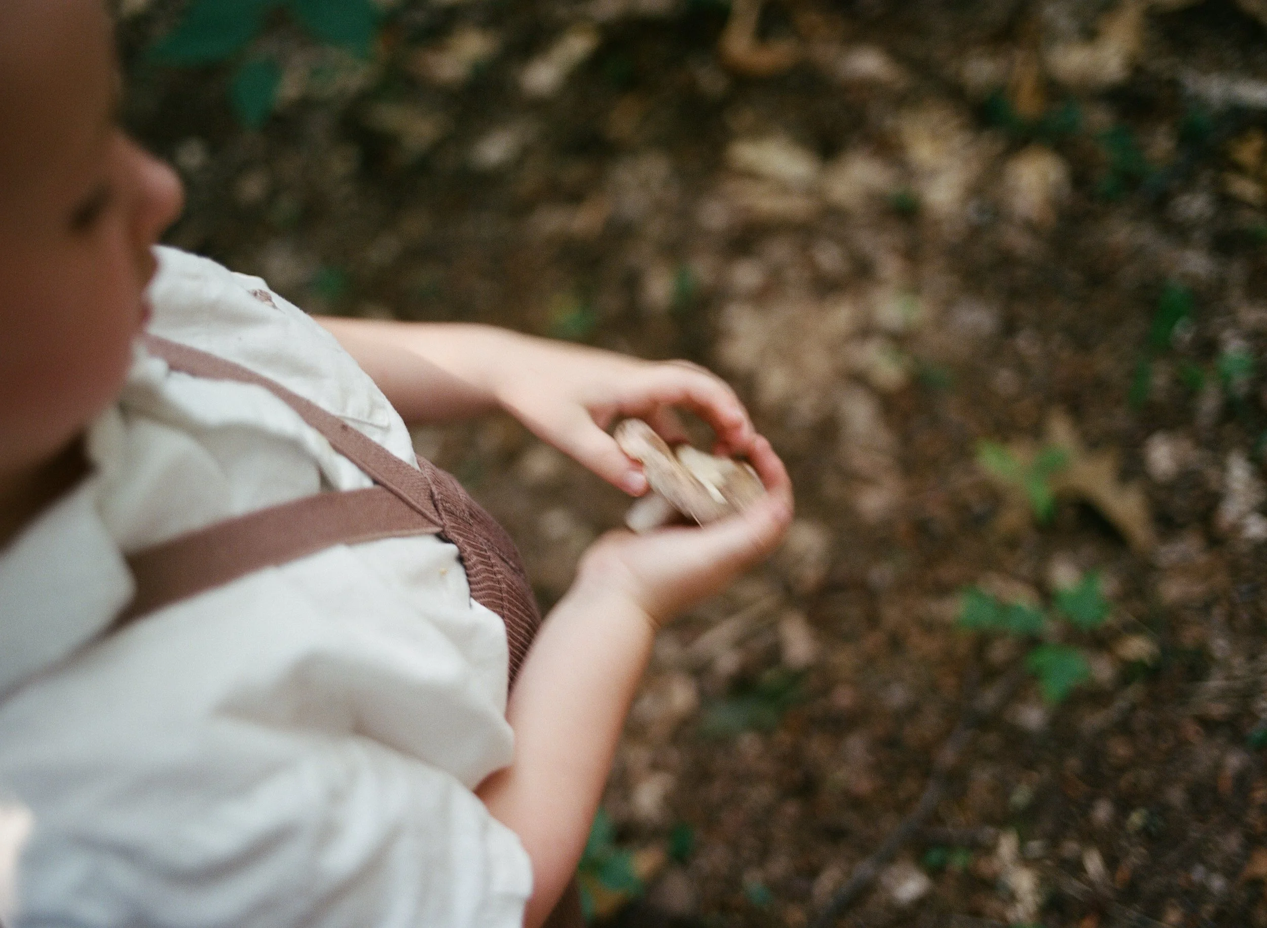 New England family photographer
