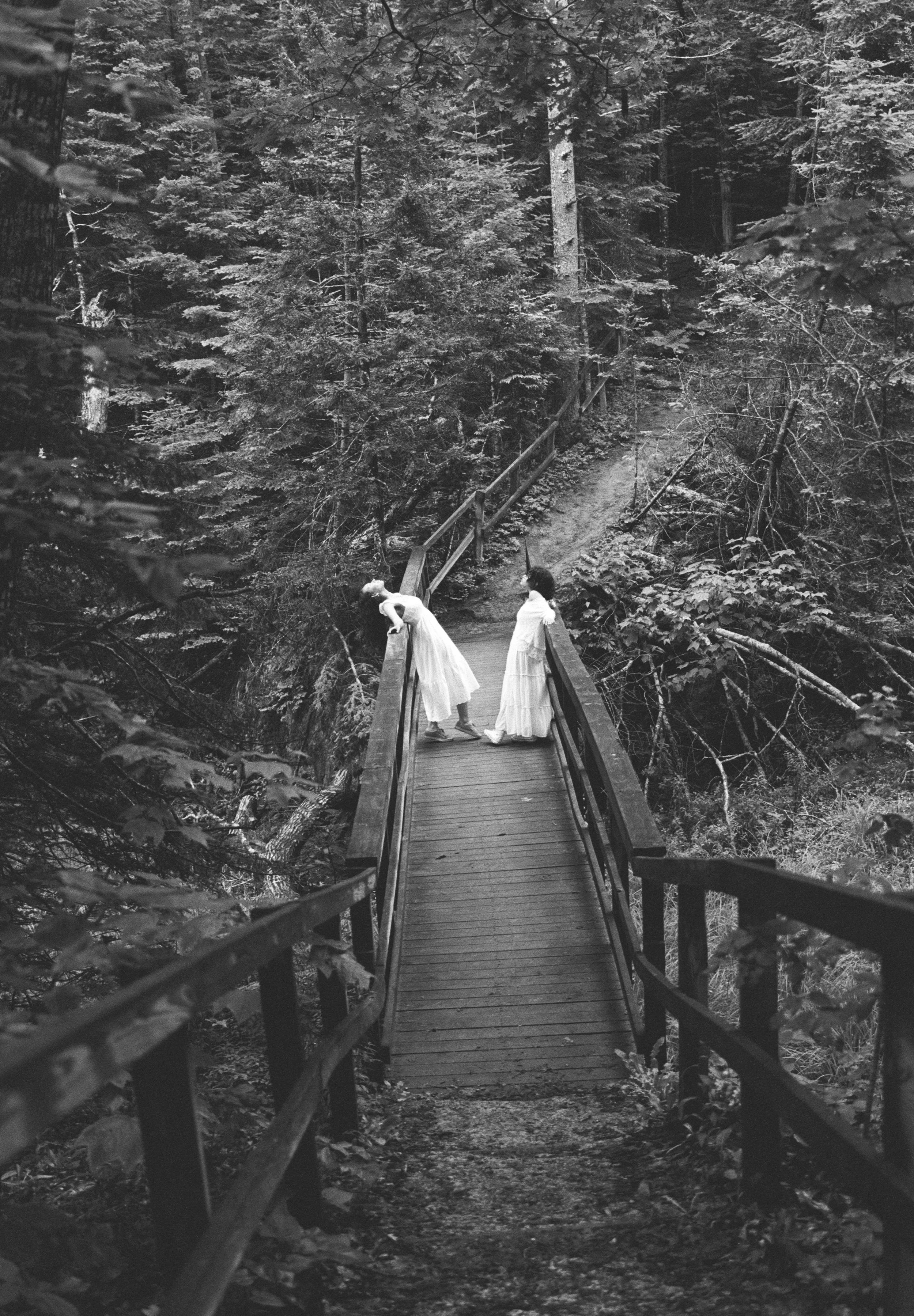 midcoast maine photographer