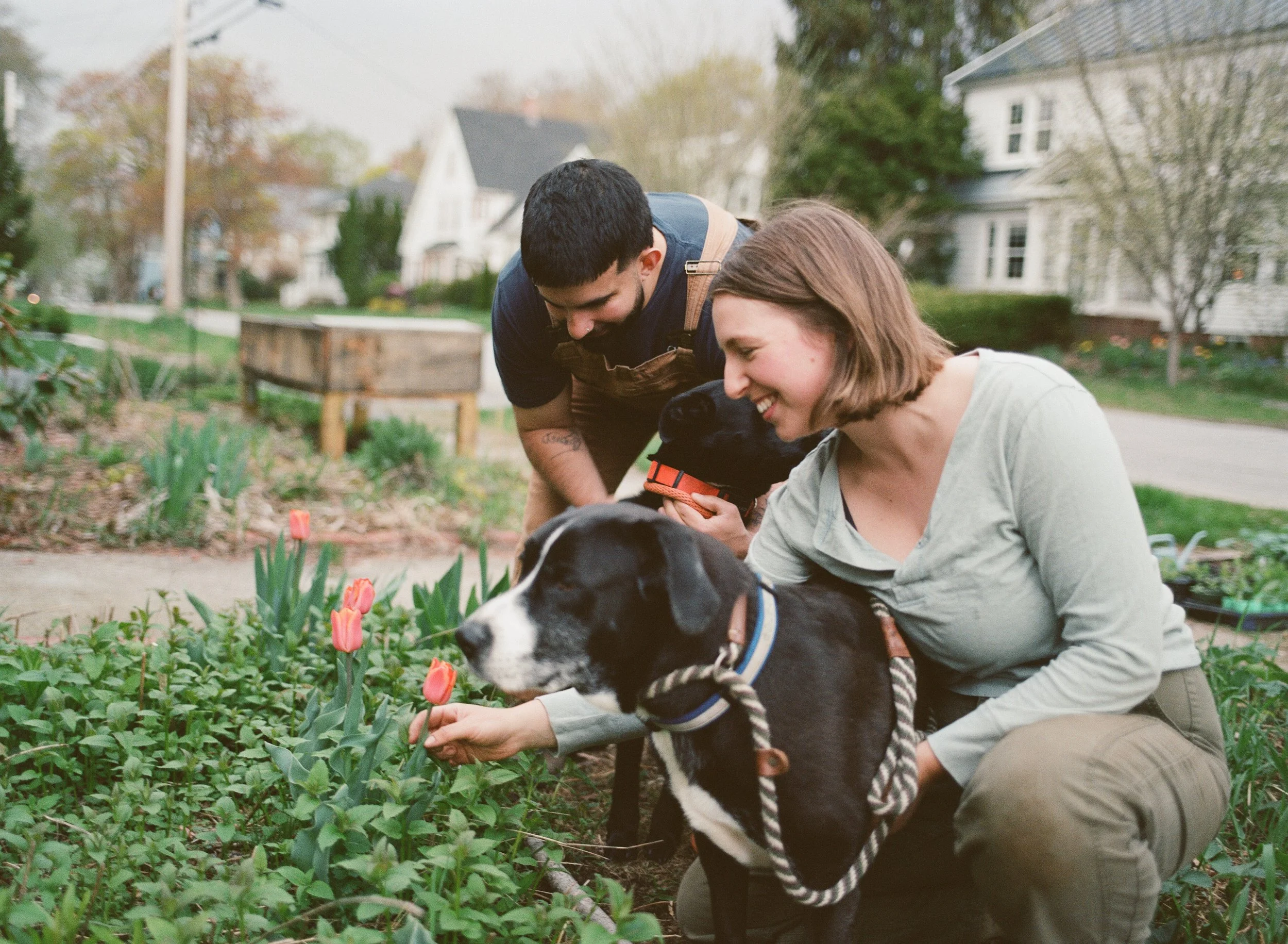 Maine engagement photographer
