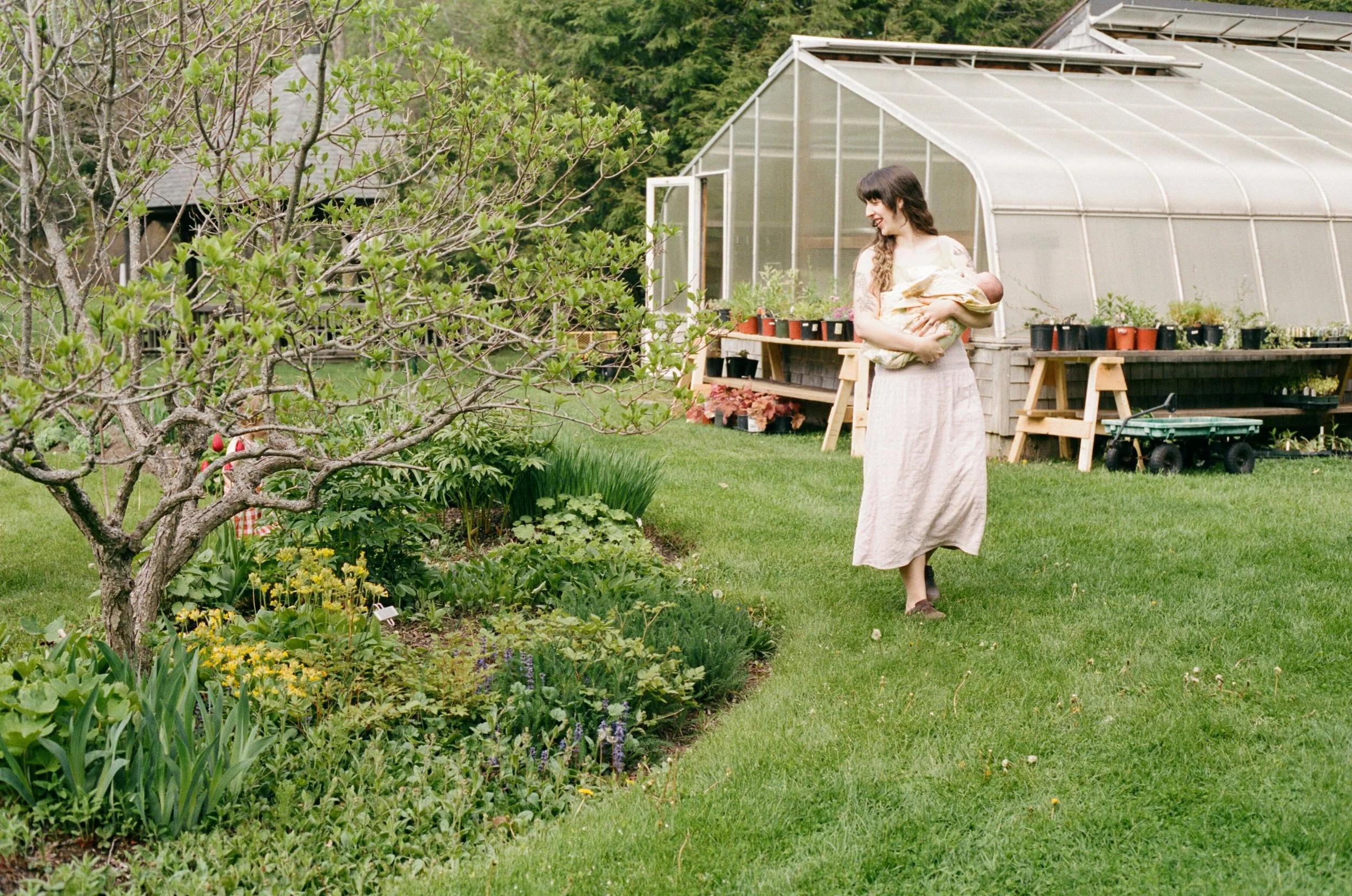 Maine family photographer