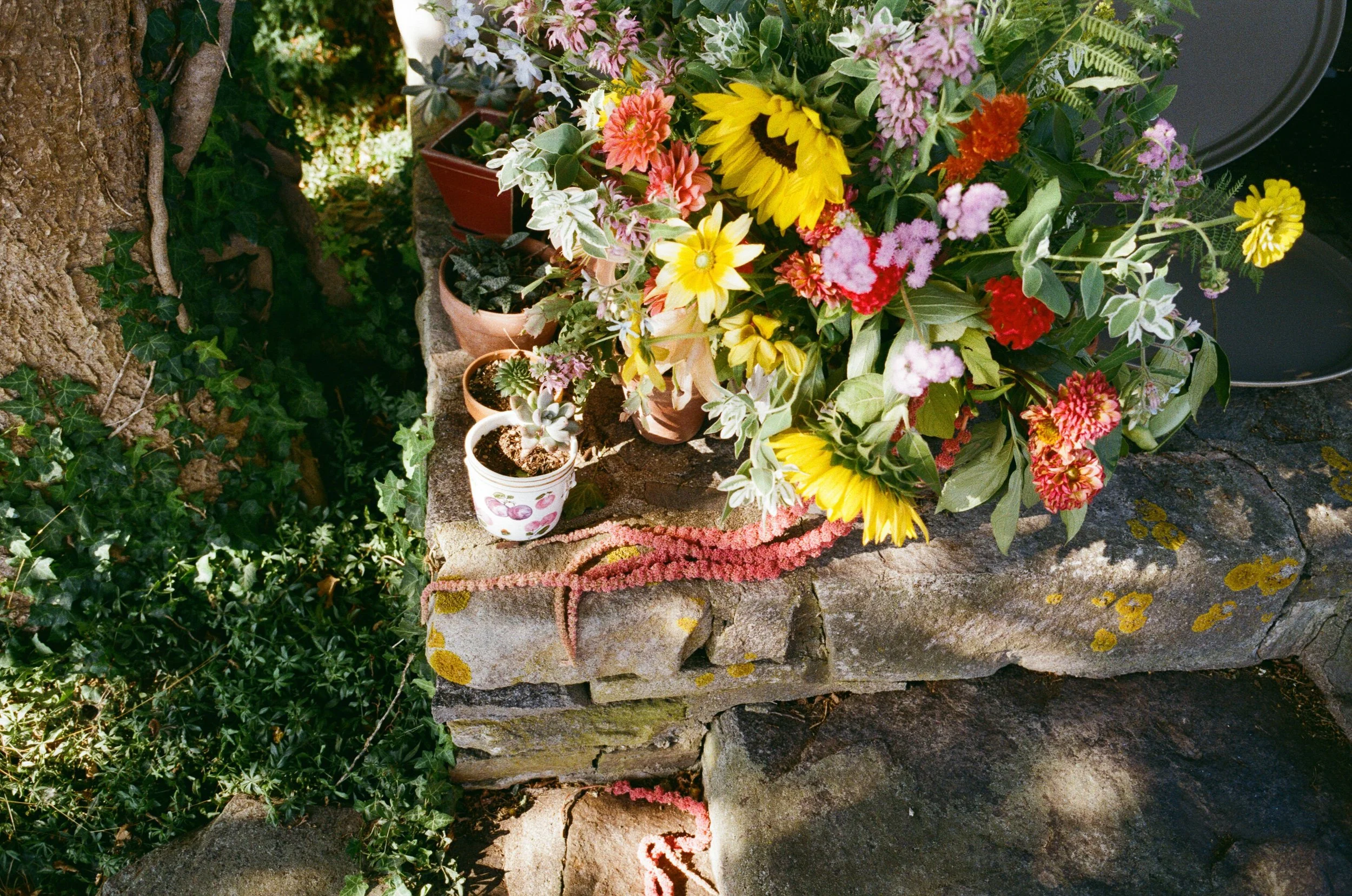 backyard garden party wedding inspiration