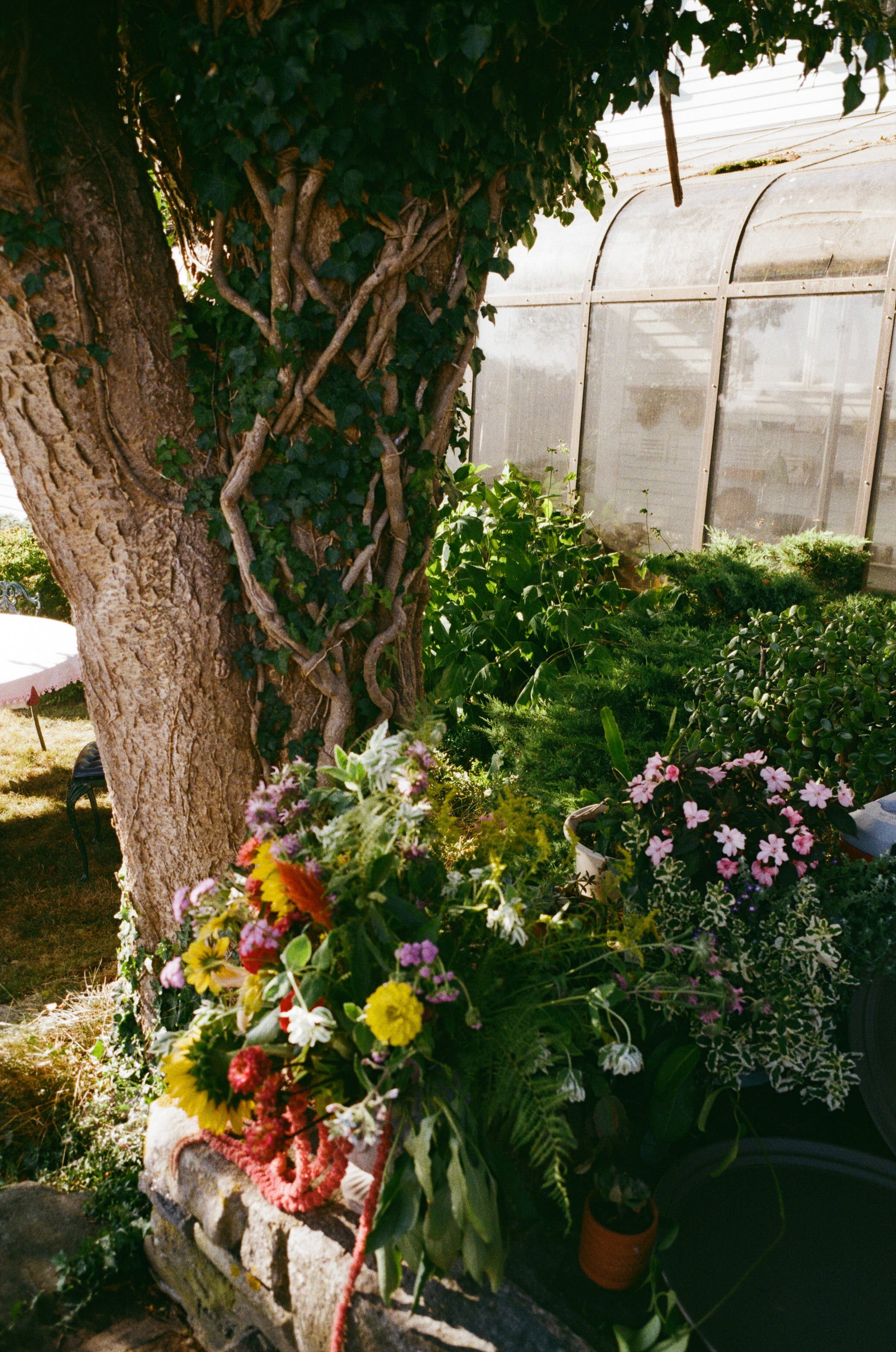 maine garden party wedding