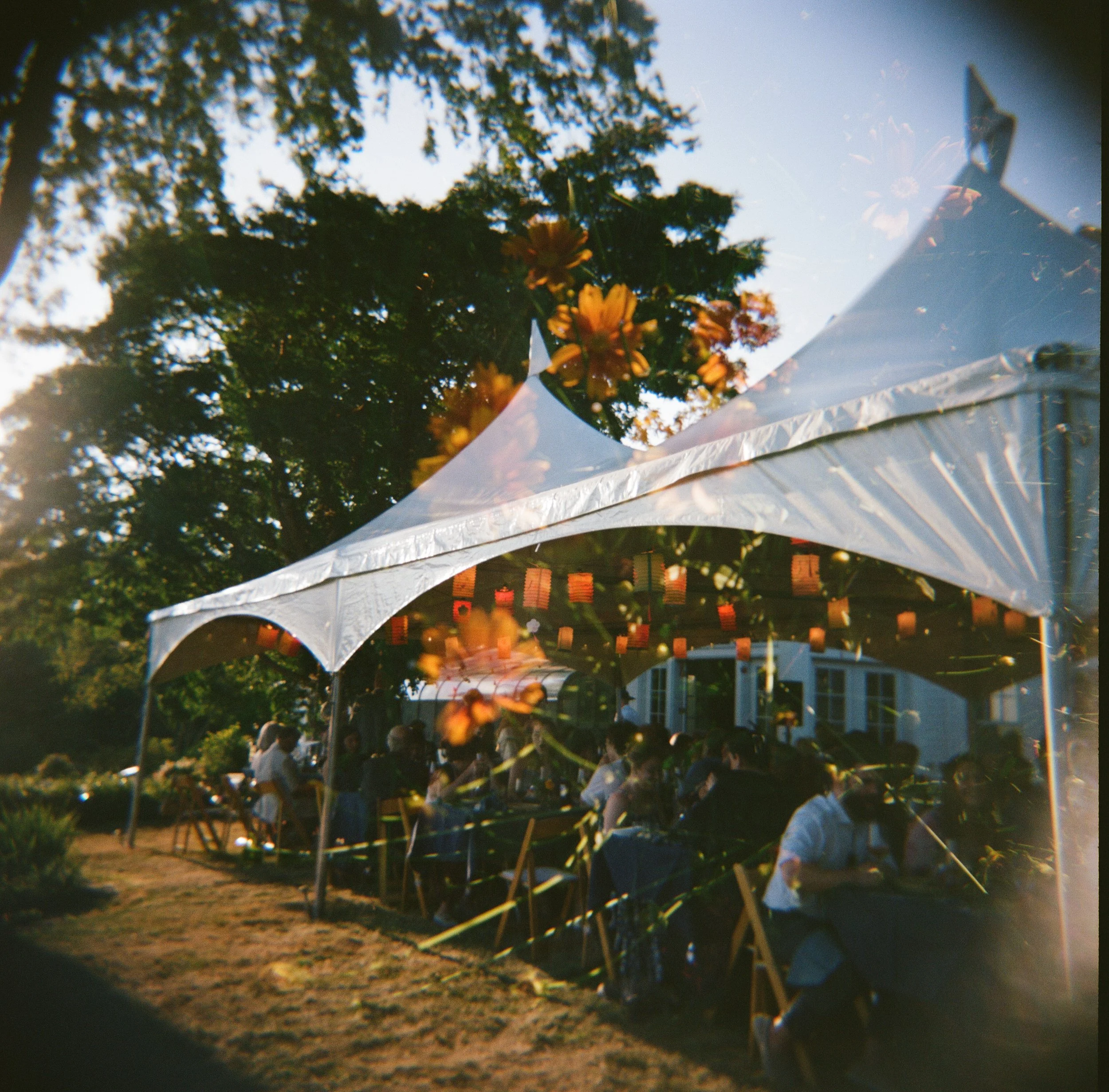 maine film wedding photographer