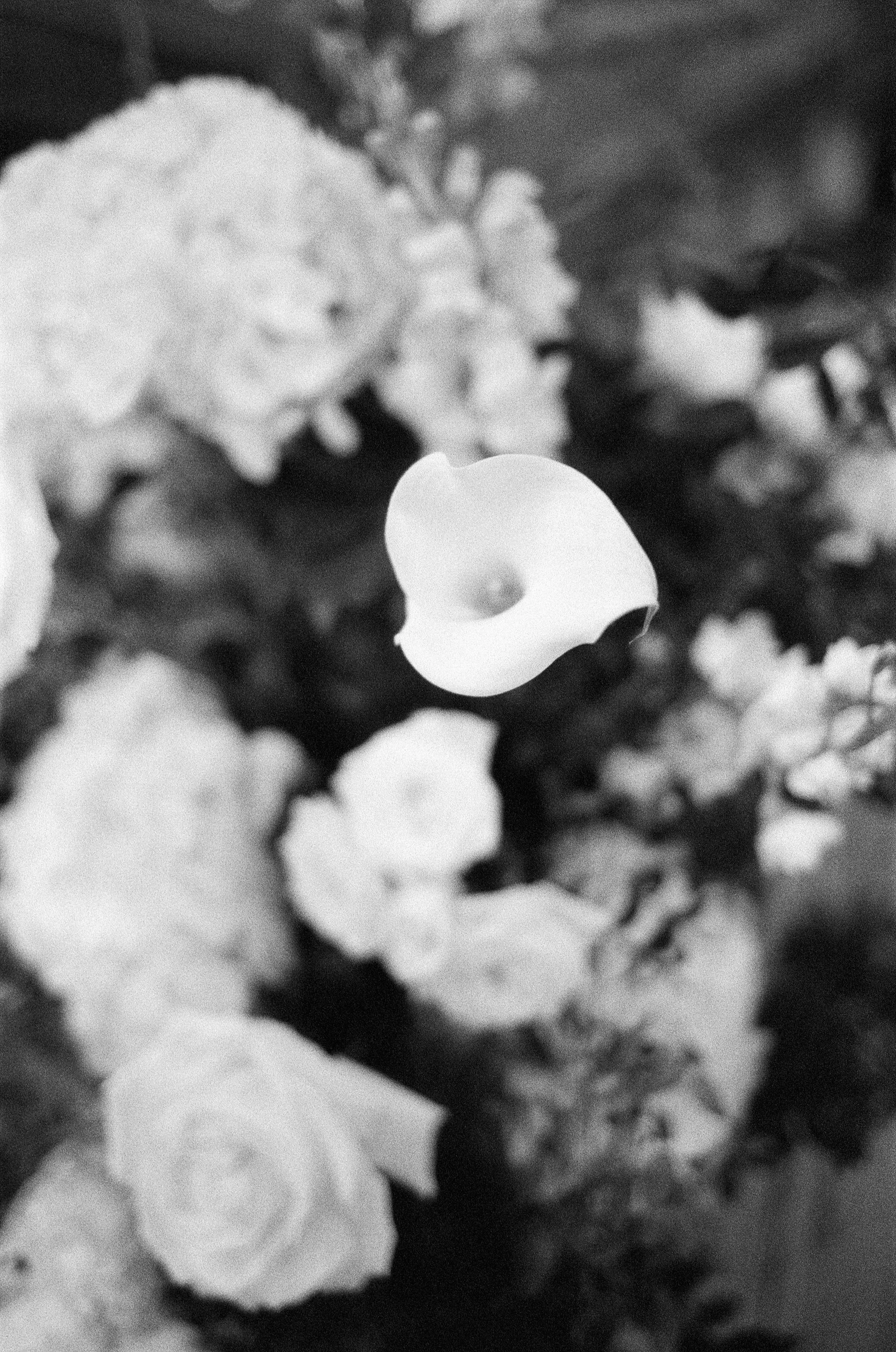 winter wedding floral inspiration