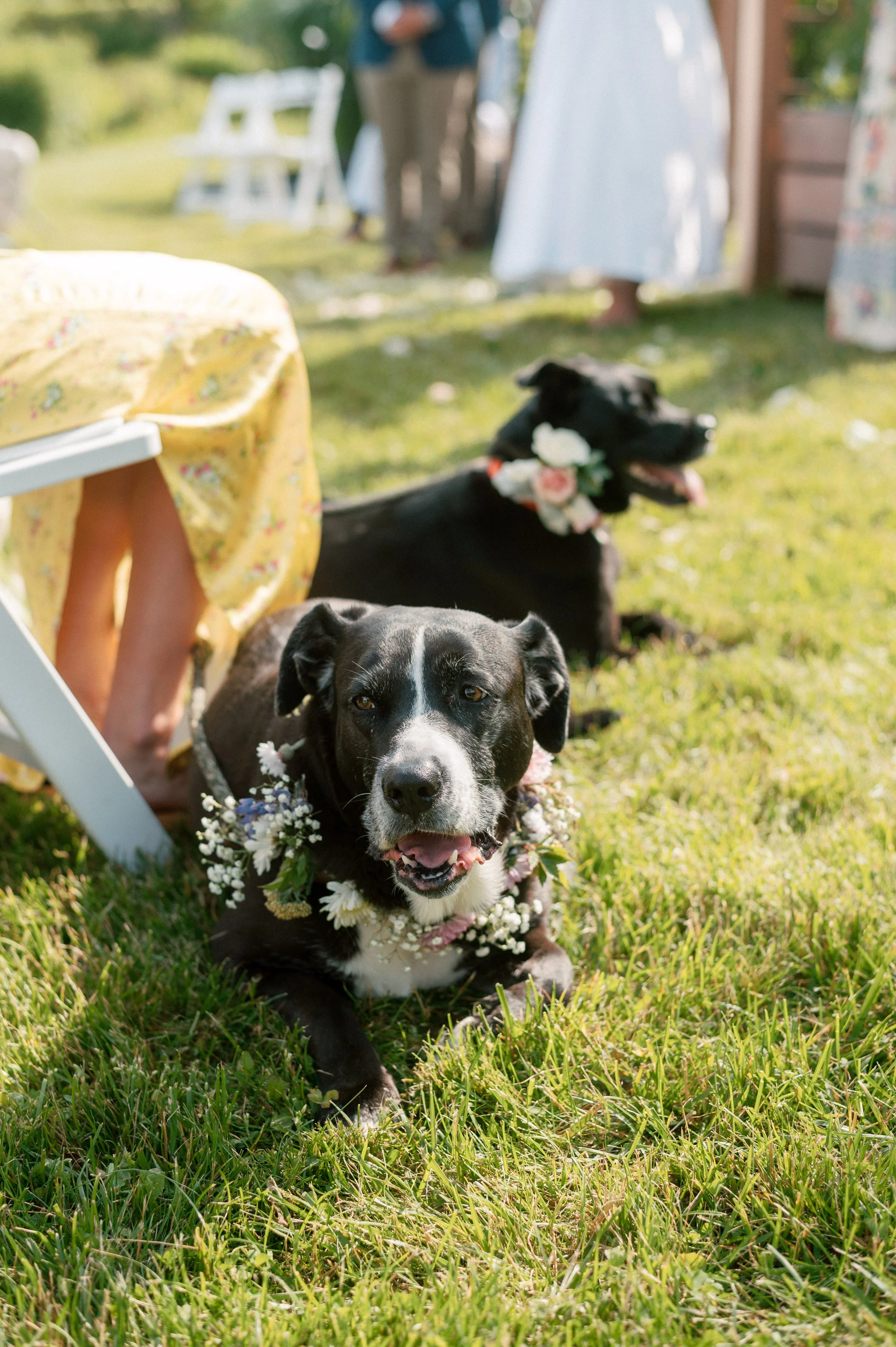 new england wedding film photography