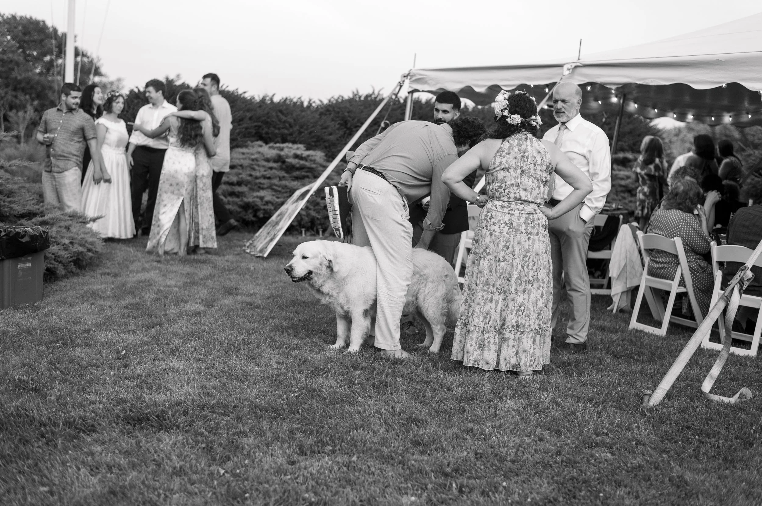 newport wedding film photographer