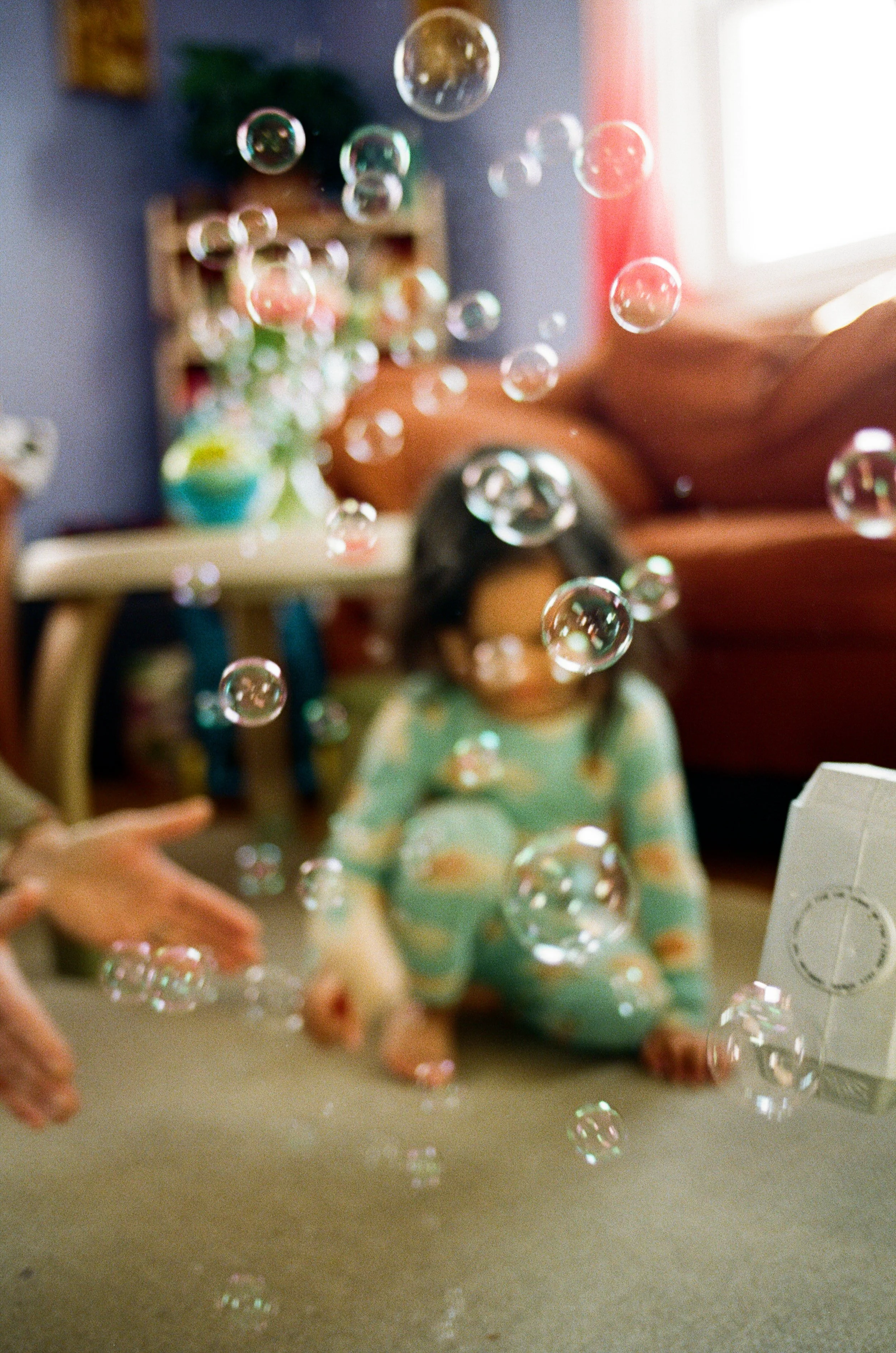 facefree family photography