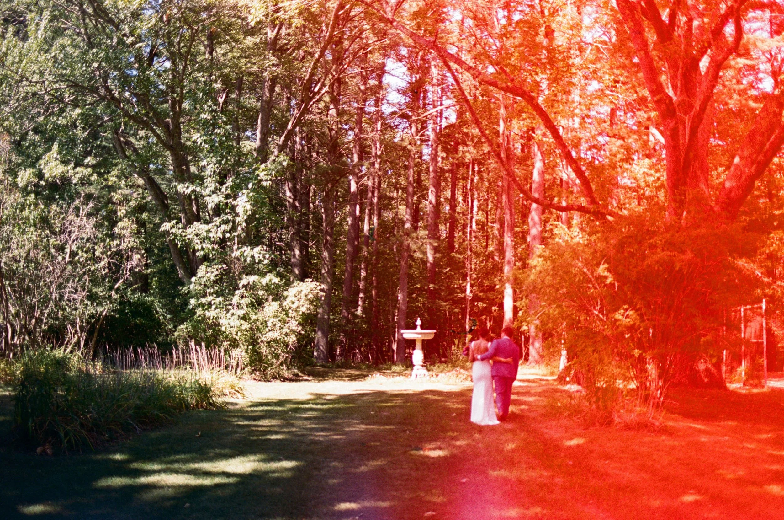 couples portraits on 35mm in summer in maine