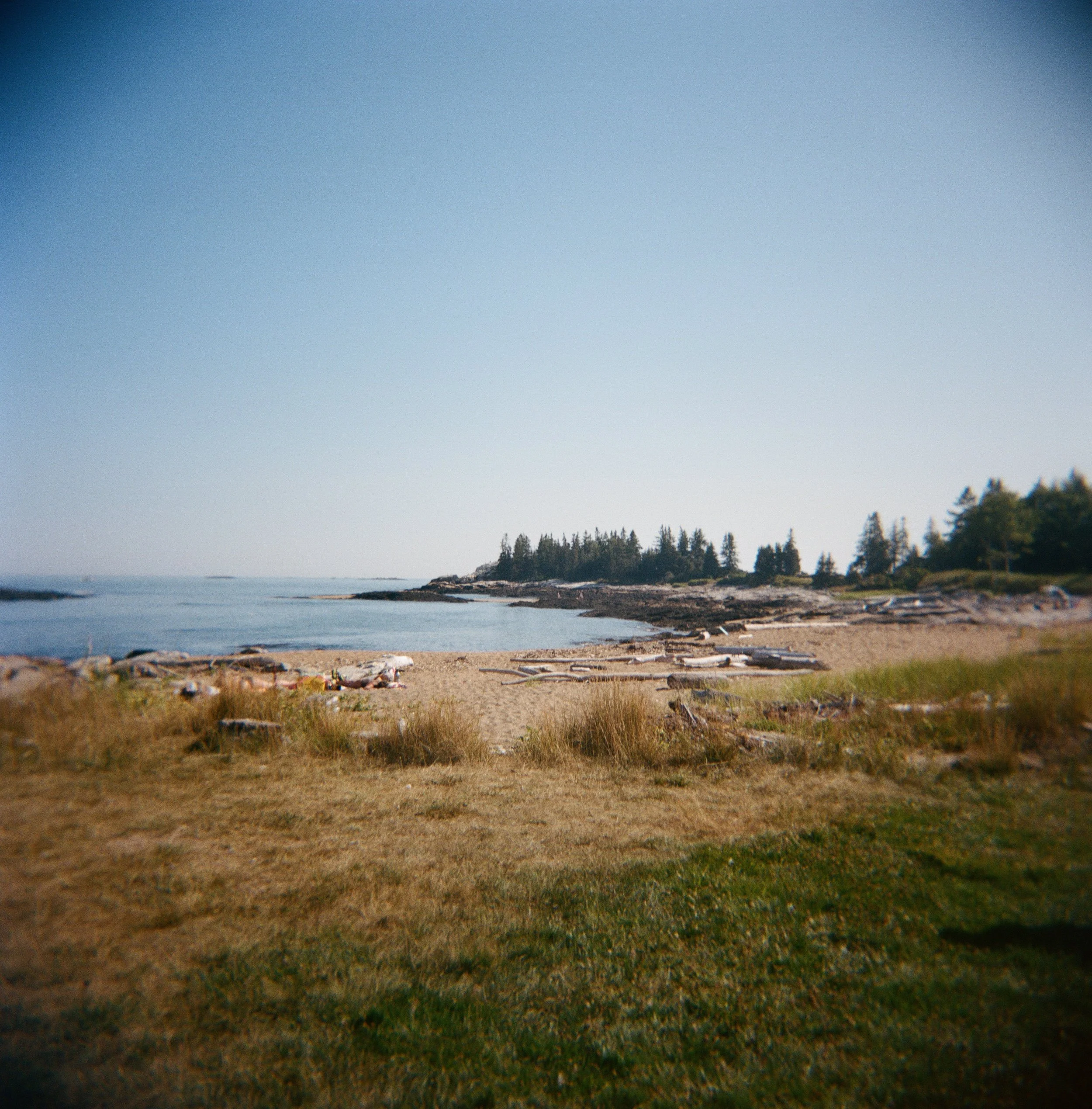 reid state park wedding photography on film