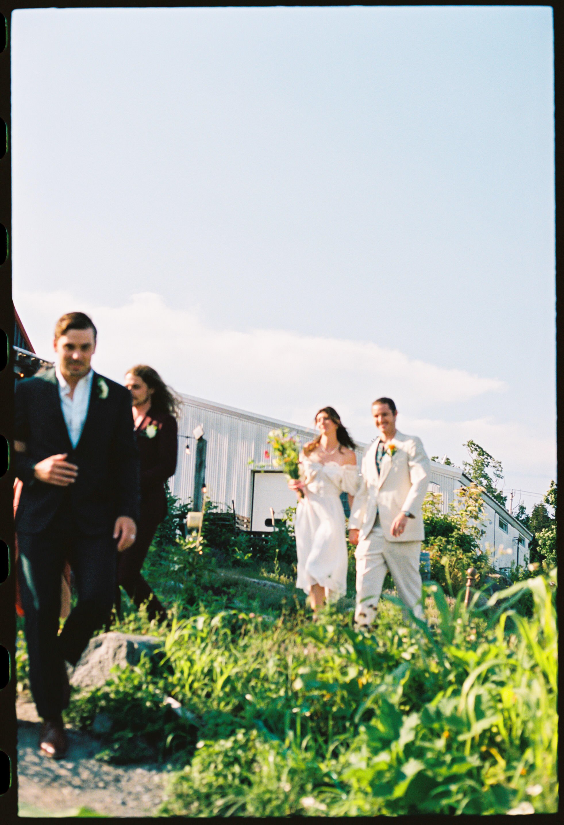 The bridal party walks down a flower path at Sweet Pea's farm in Bar Harbor, Maine 
