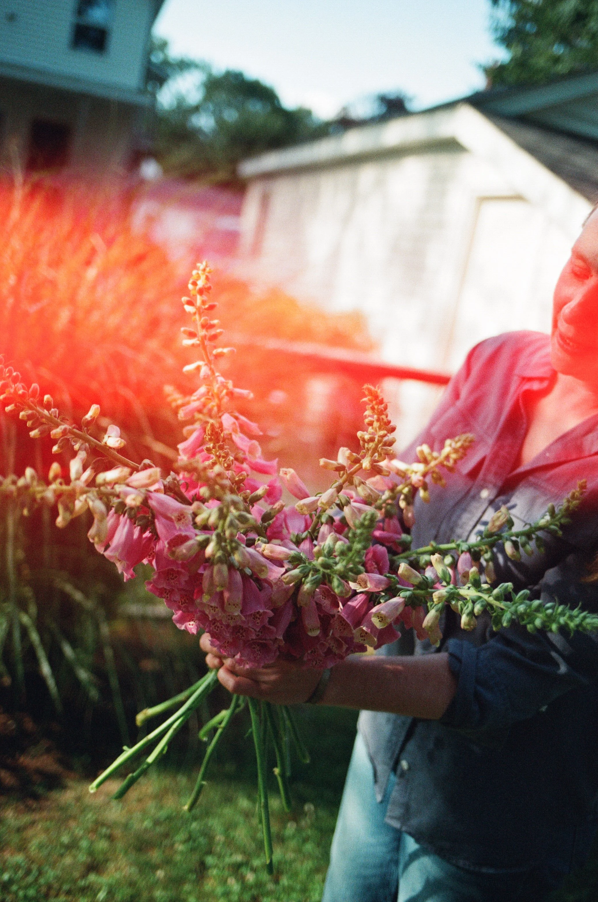 Creative branding photography in Maine on film - photographs of a florist holding flowers from her backyard garden