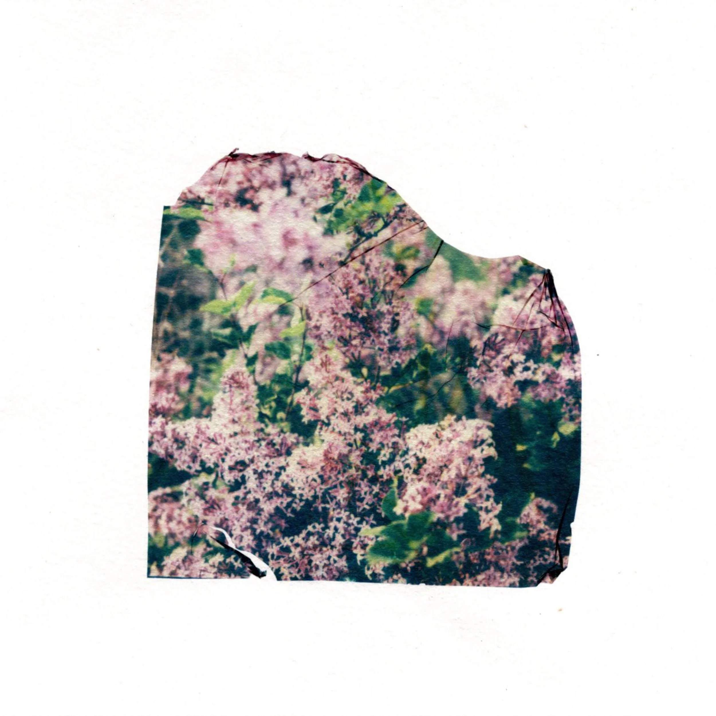 AlyssaSoucyPhotography_Prints-2.jpg