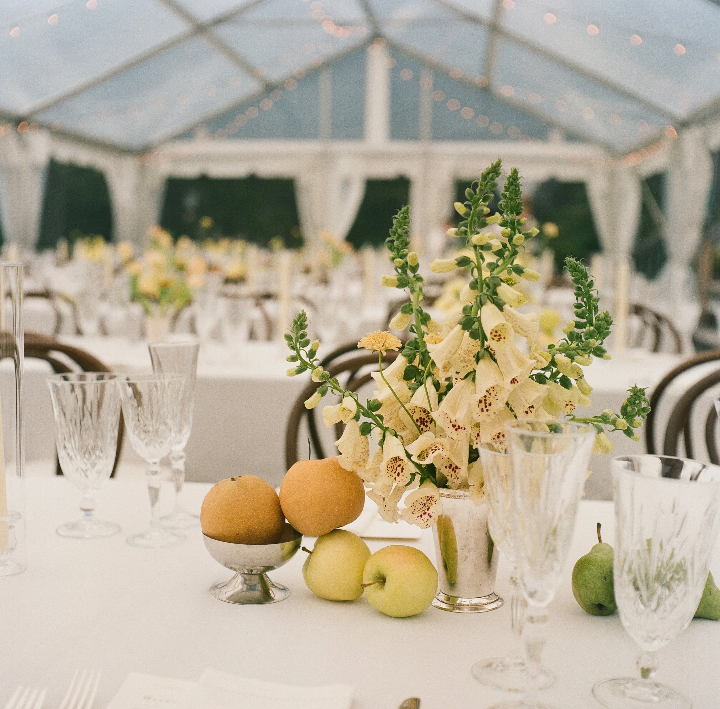 florals on film at wedding in aragosta, deer isle maine