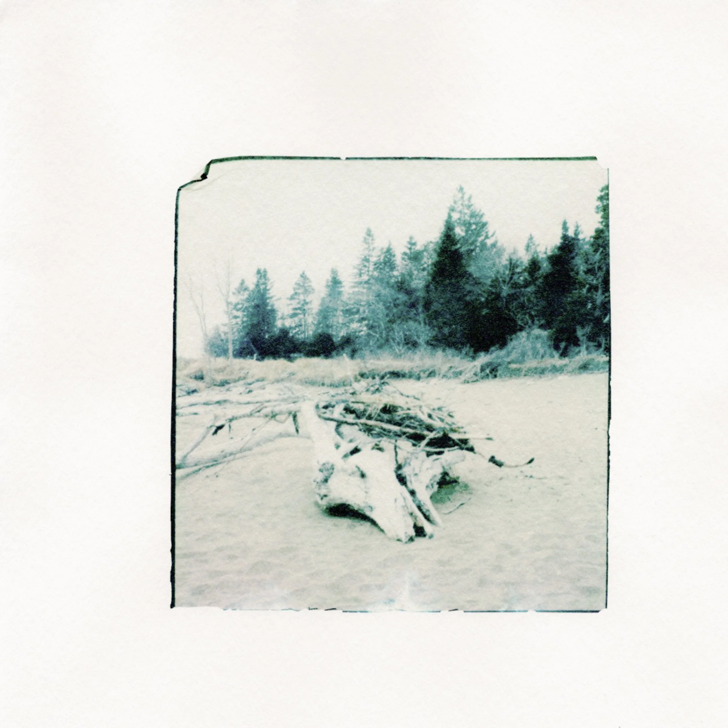 Reid State Park #4