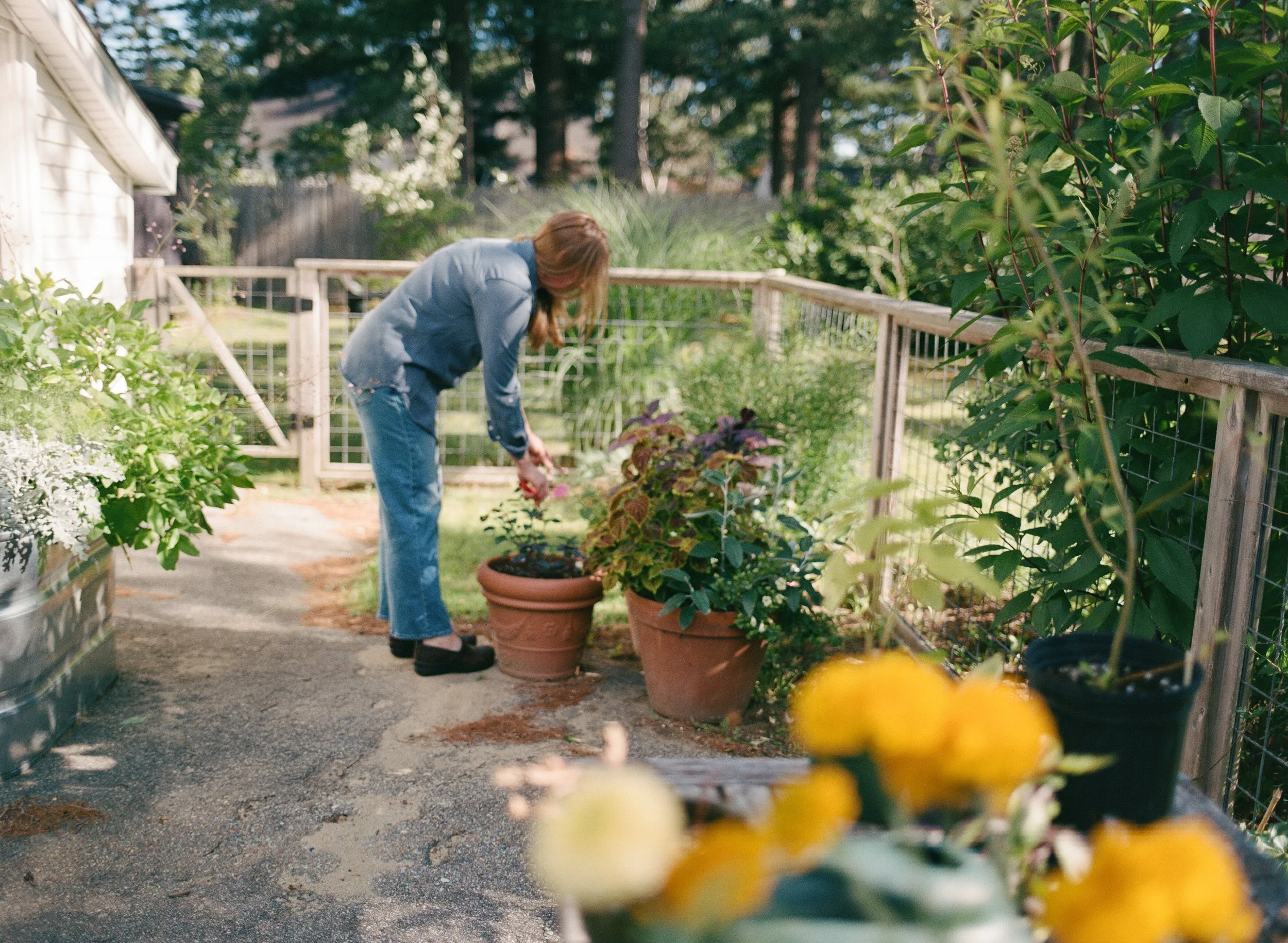 Documentary, natural unposed branding photography in Maine - backyard florist portraits for business