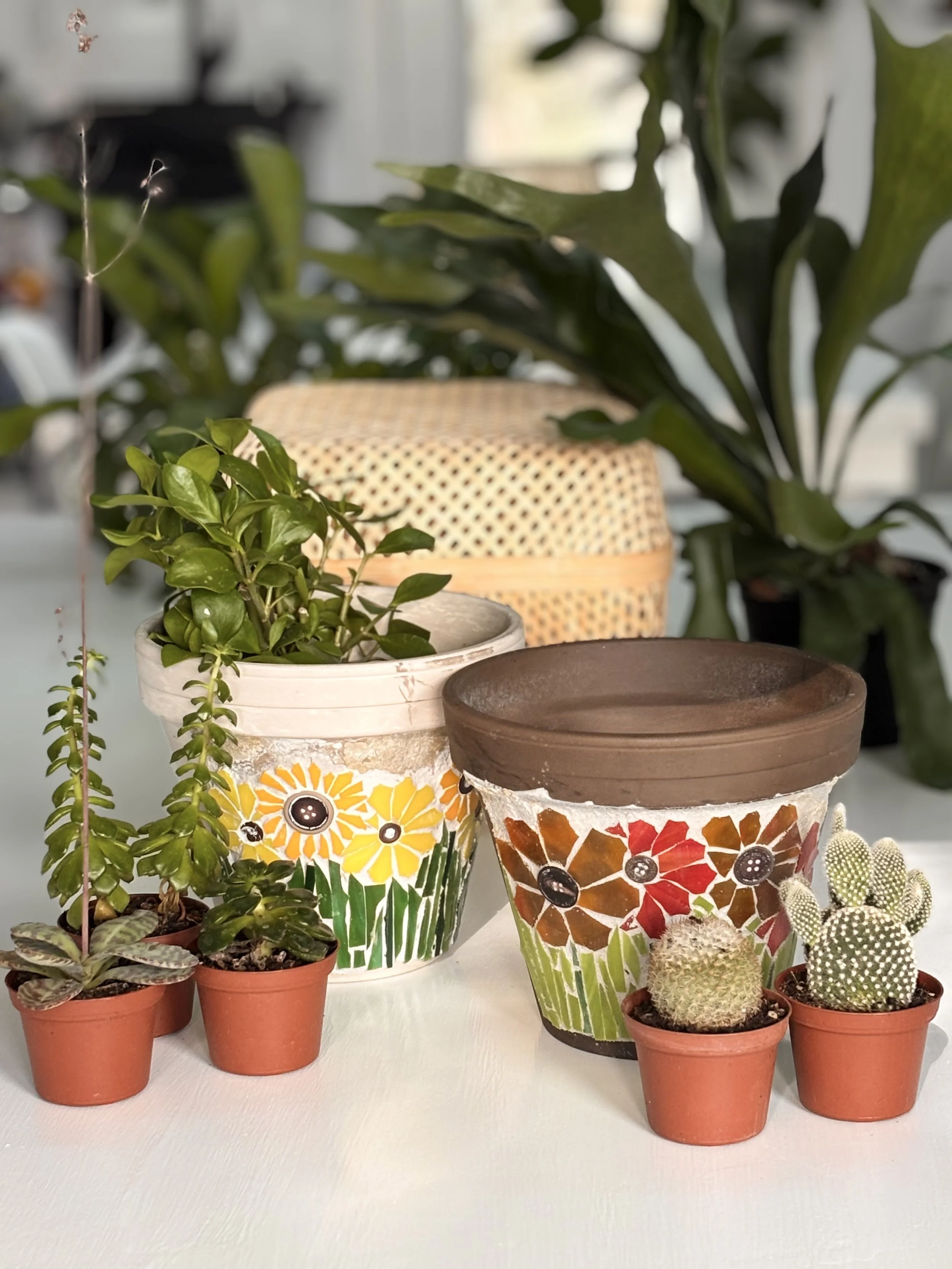 Sip, Snack, and Mosaic: Group Workshop Experience