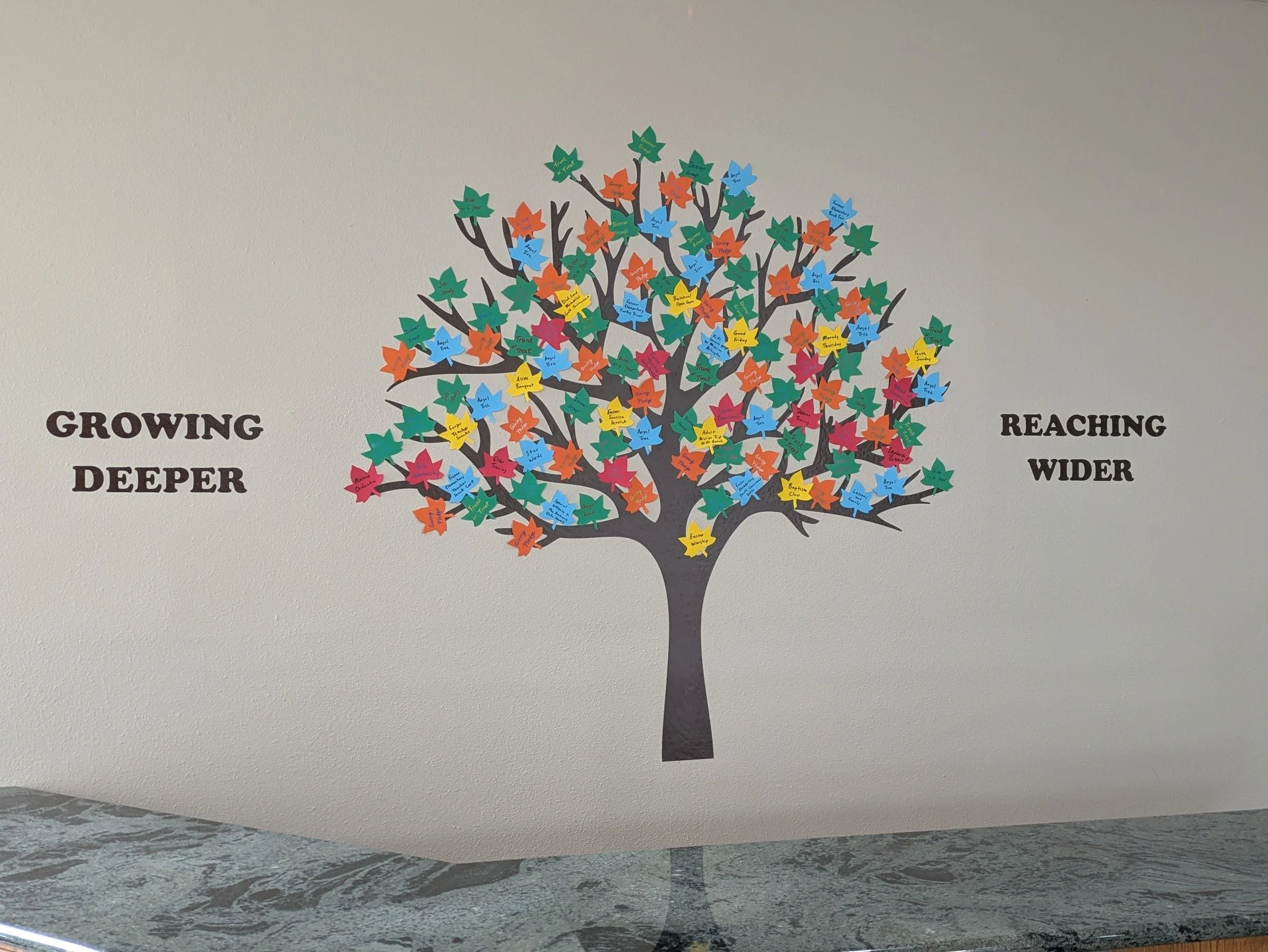 This tree is on the wall in the Gathering Area outside our Sanctuary.  It is a reminder to us to always try to Grow Deeper in study, relationships, and faith and Reach Wider with compassion, invitation, and Christ's love. We have added leaves each mo
