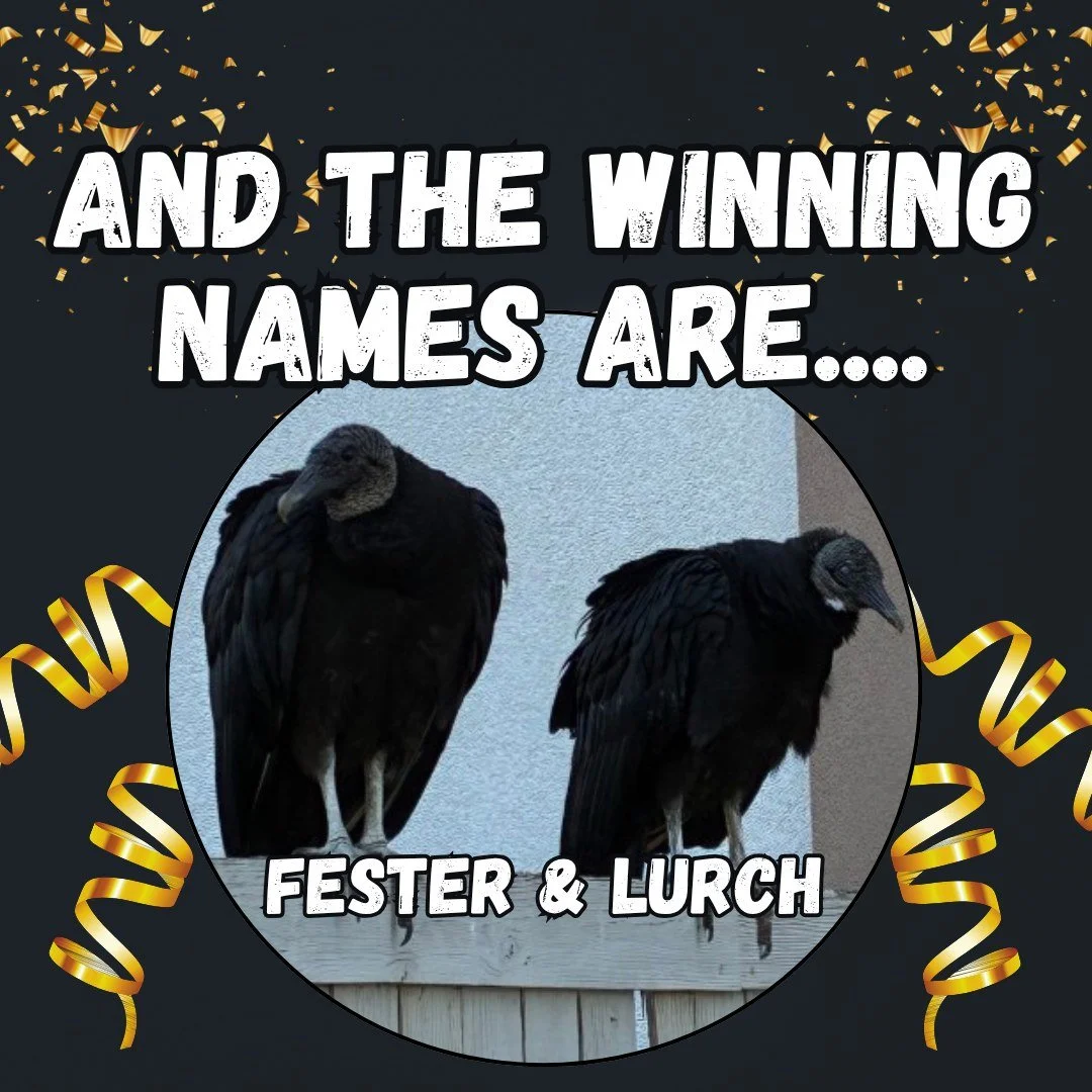 By an overwhelming margin, this dynamic duo is now forever known as Fester and Lurch!