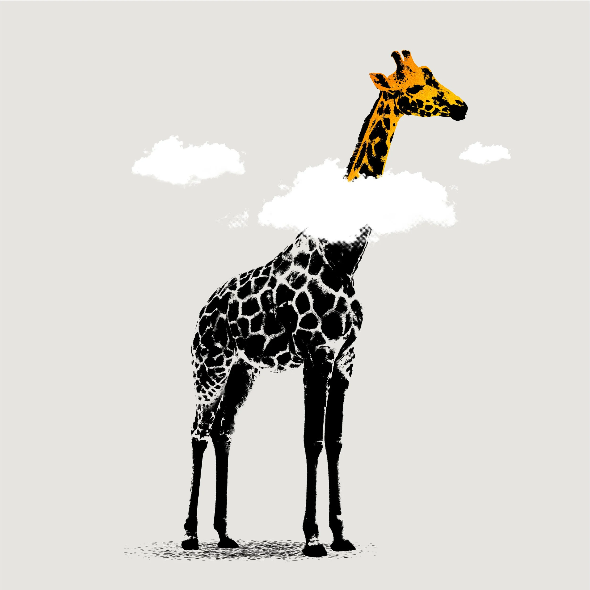 Daydreamer - Special Unstretched Canvas Edition 5