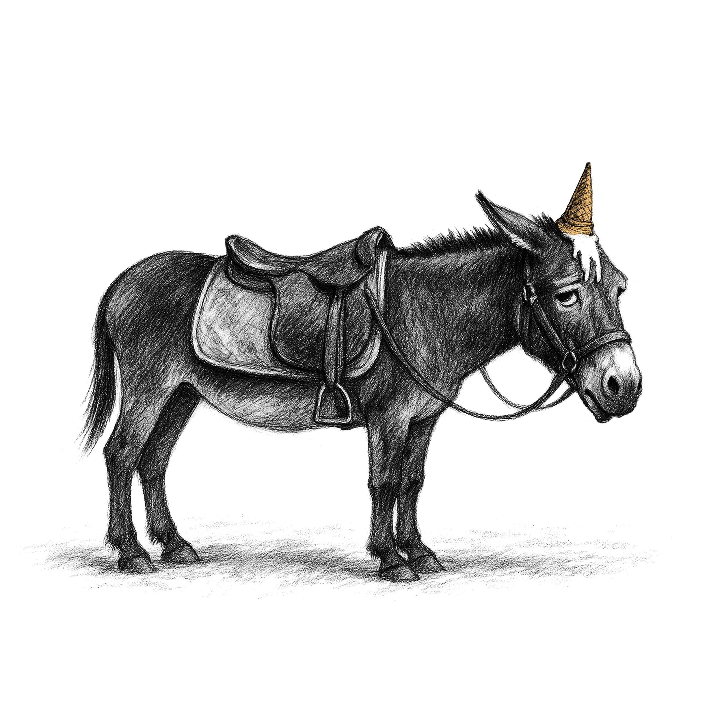DONKEY.jpg
