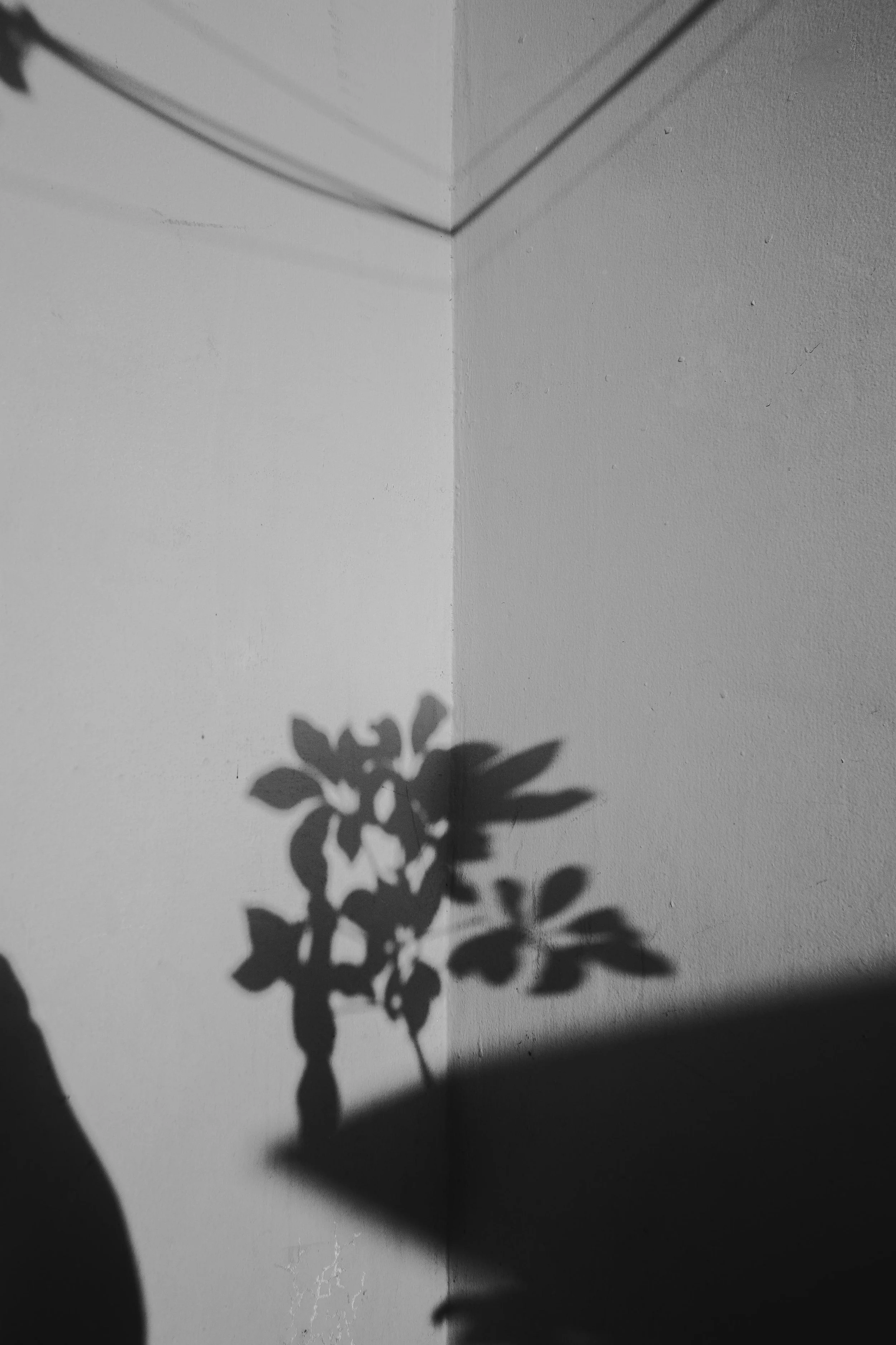 pexels-photo-3058059.jpeg