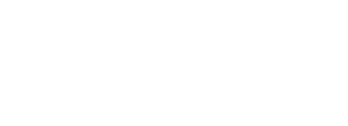 Policing Alternatives &amp; Diversion Initiative
