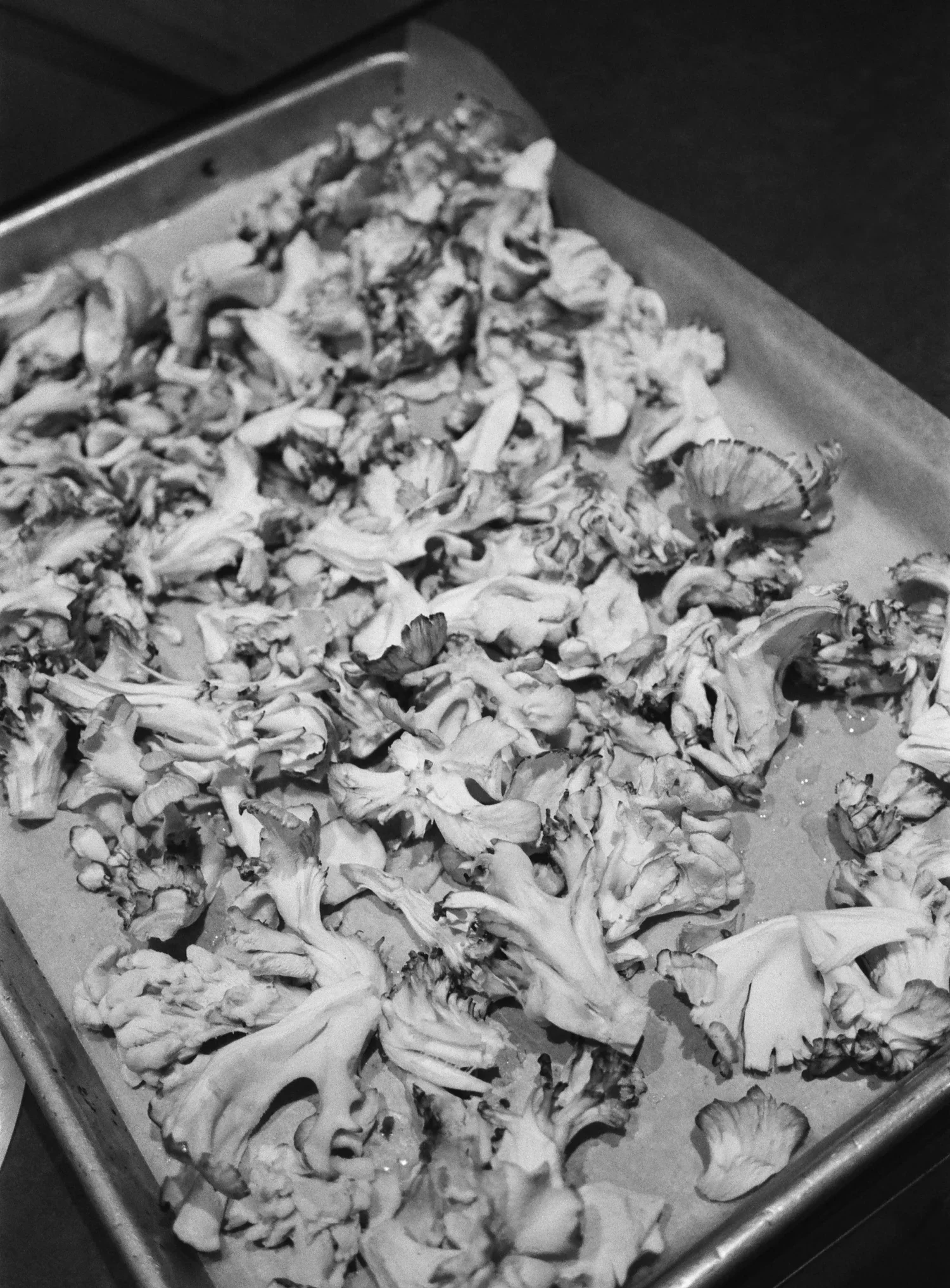 Issue No. 31: Mushrooms