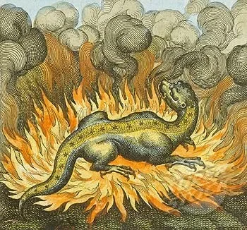 Issue No. 23: The Broiler