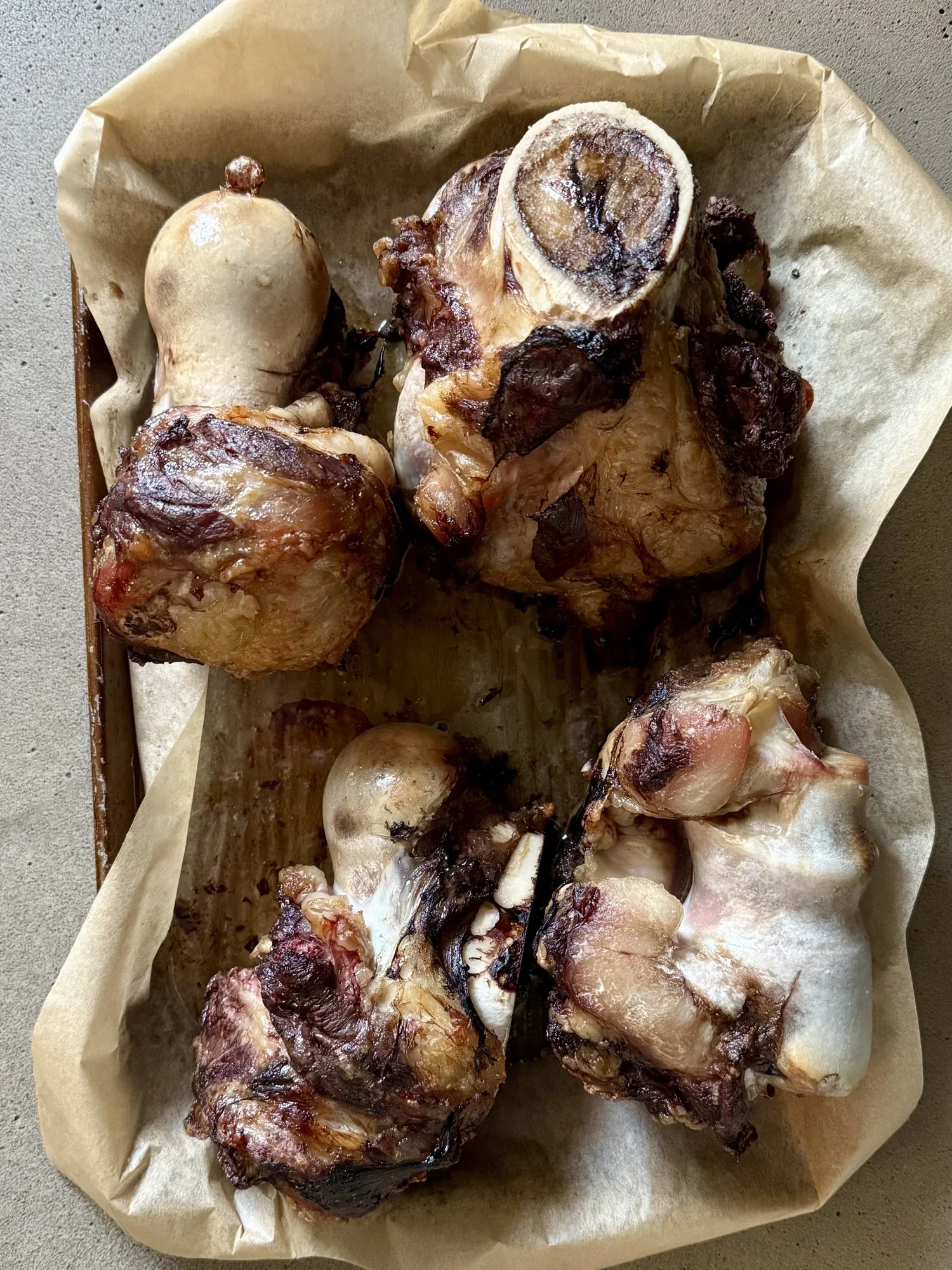 Issue No.38: Bones