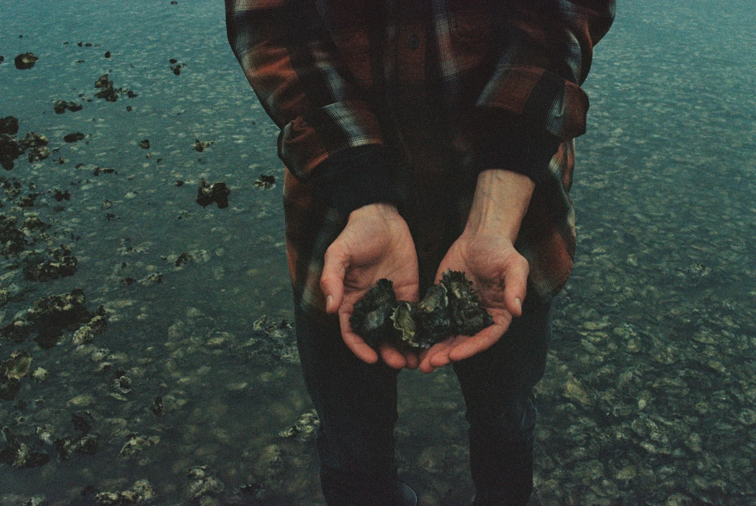 Issue No. 35: Brown Season