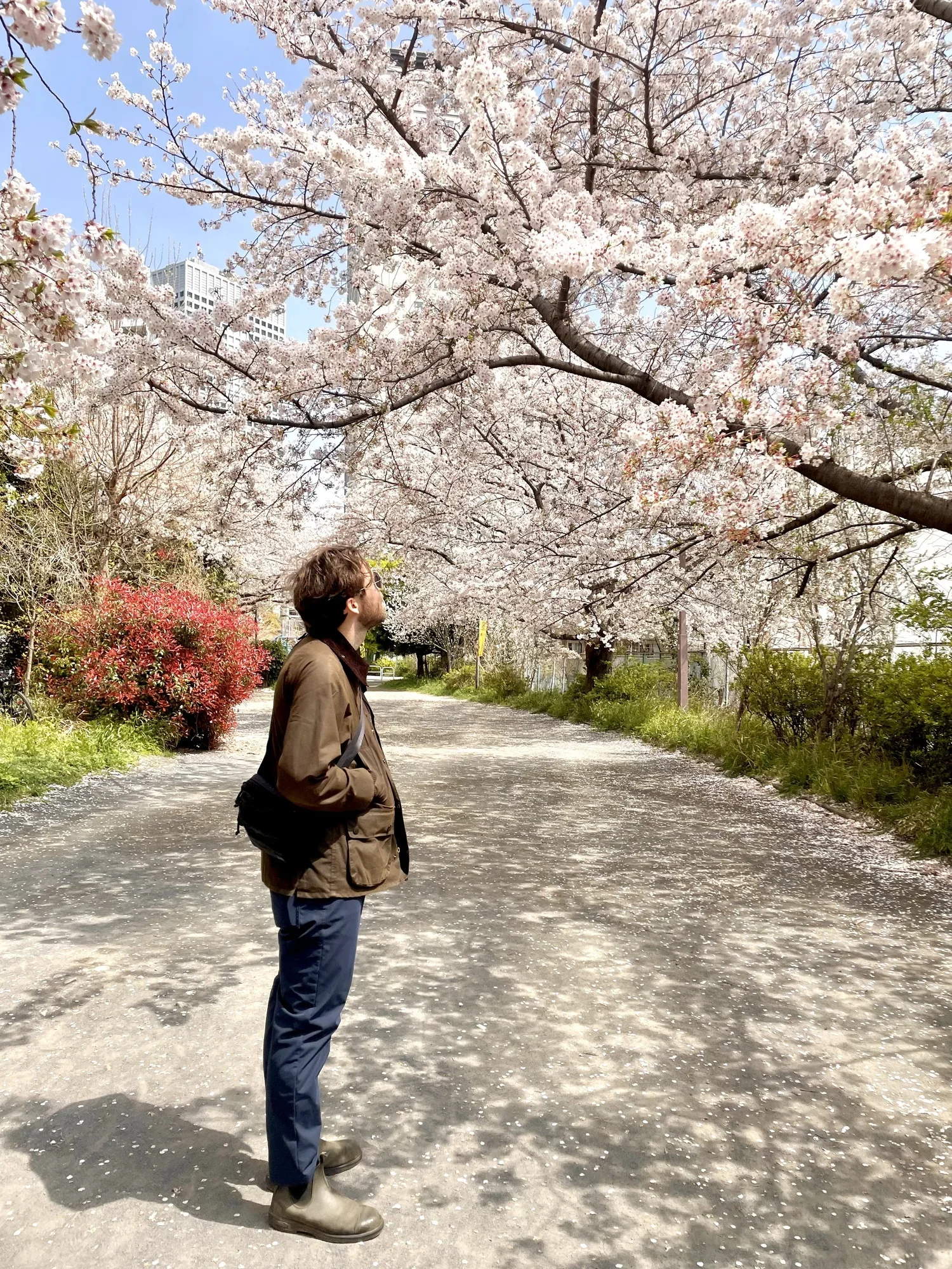 Issue No. 55: Is it Spring Yet?