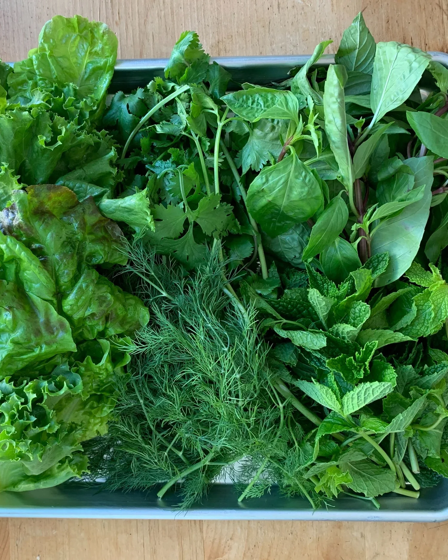 Issue No. 17: Fresh Herbs