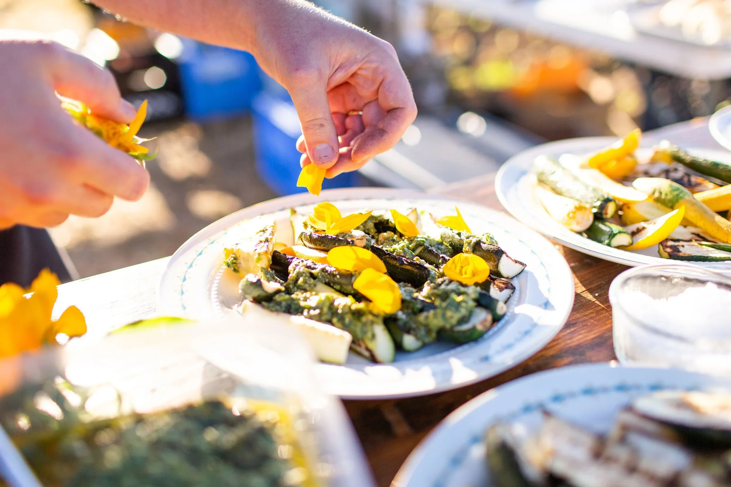 Issue No. 24: Zucchini