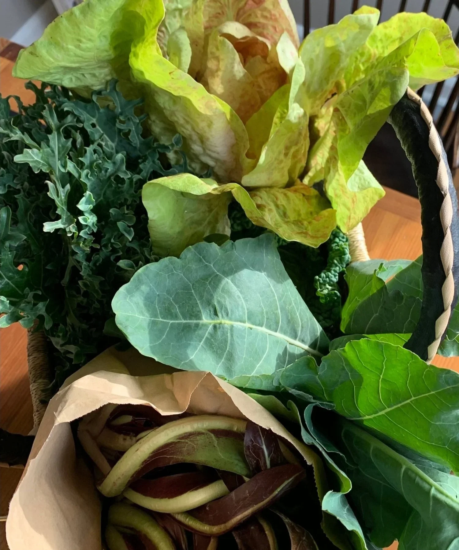 Issue No. 3: Kale