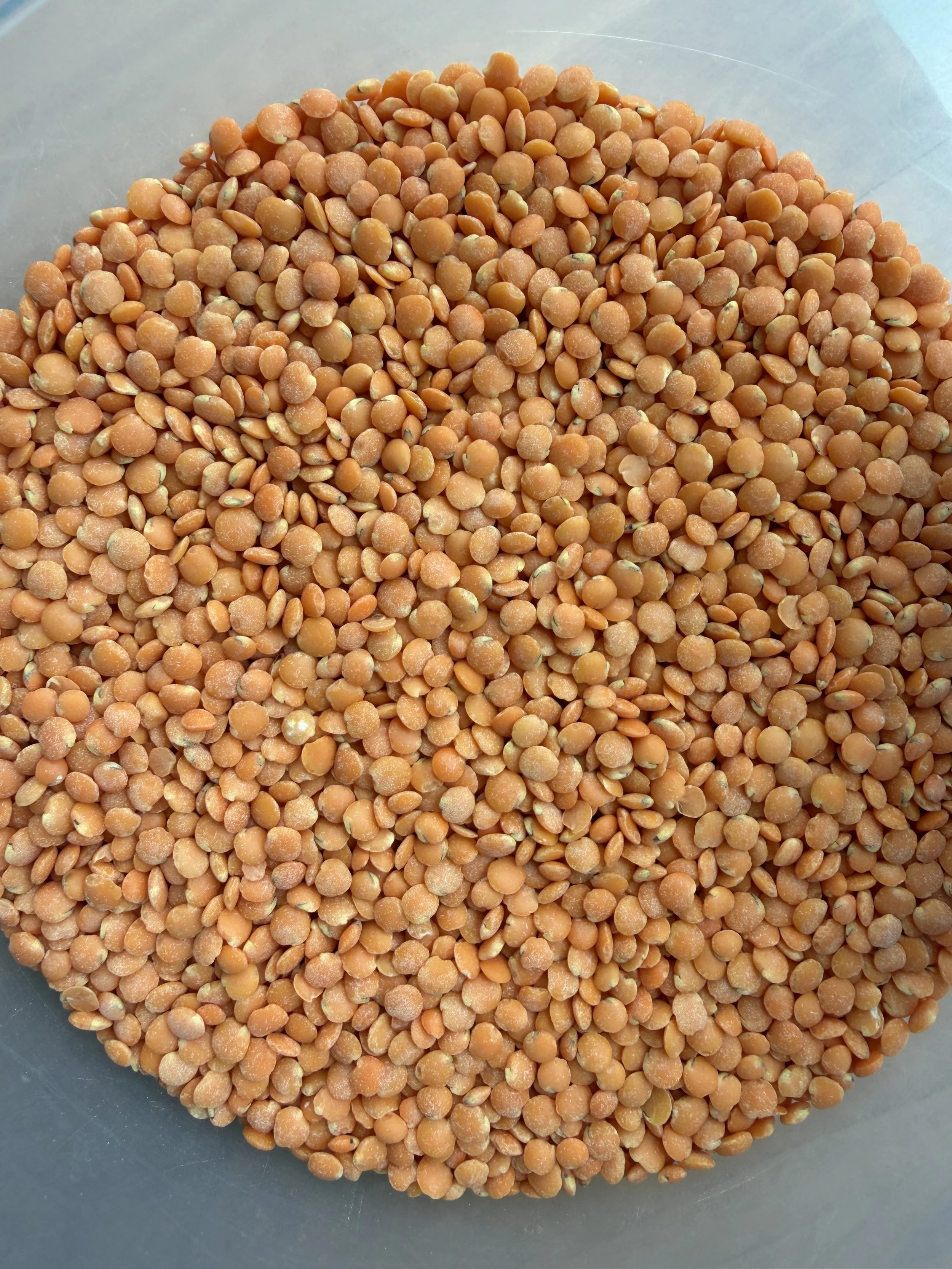 Fiber