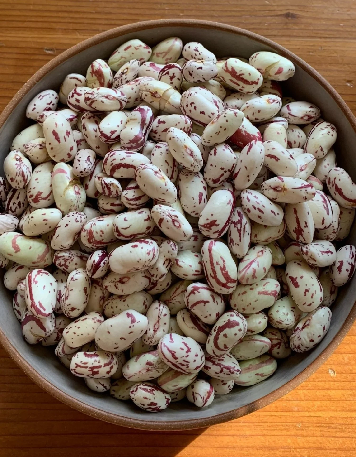 Issue No. 10: Beans