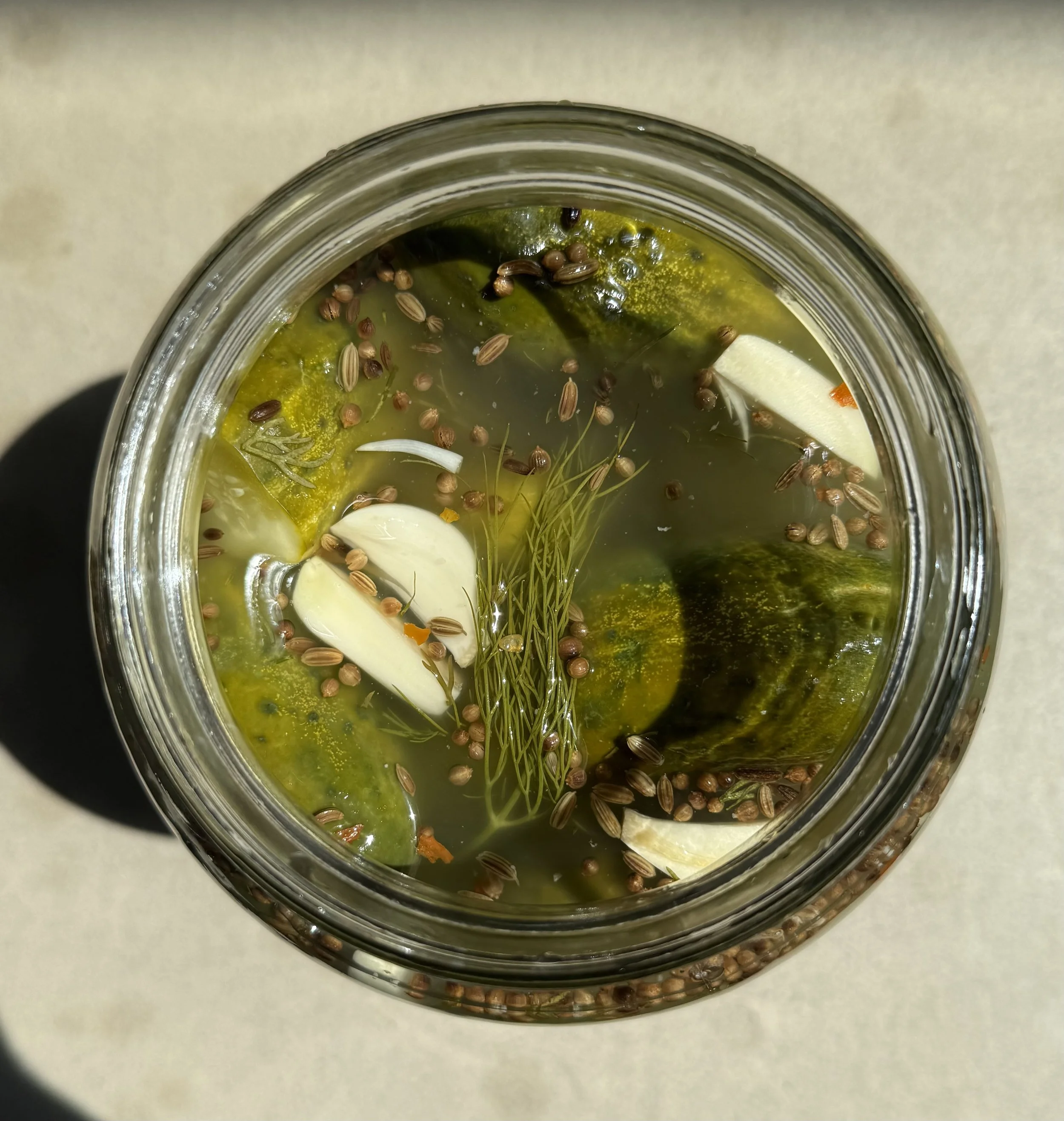 Pickled Cucumbers