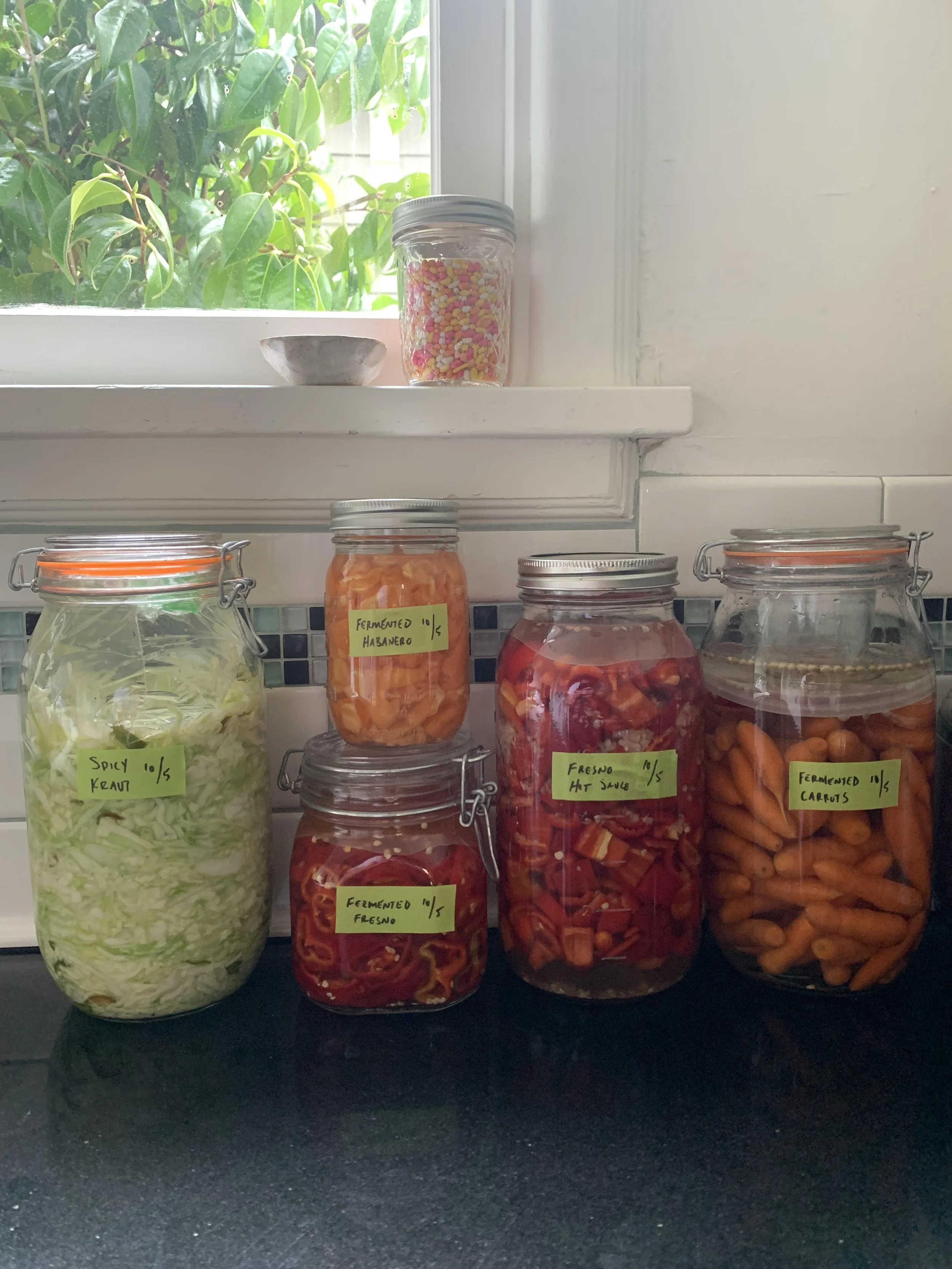 Top 3 Books on Fermentation
