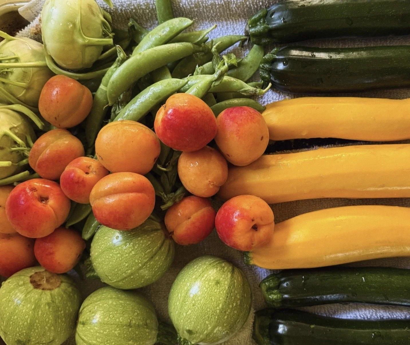 9 Summer Vegetable Dishes
