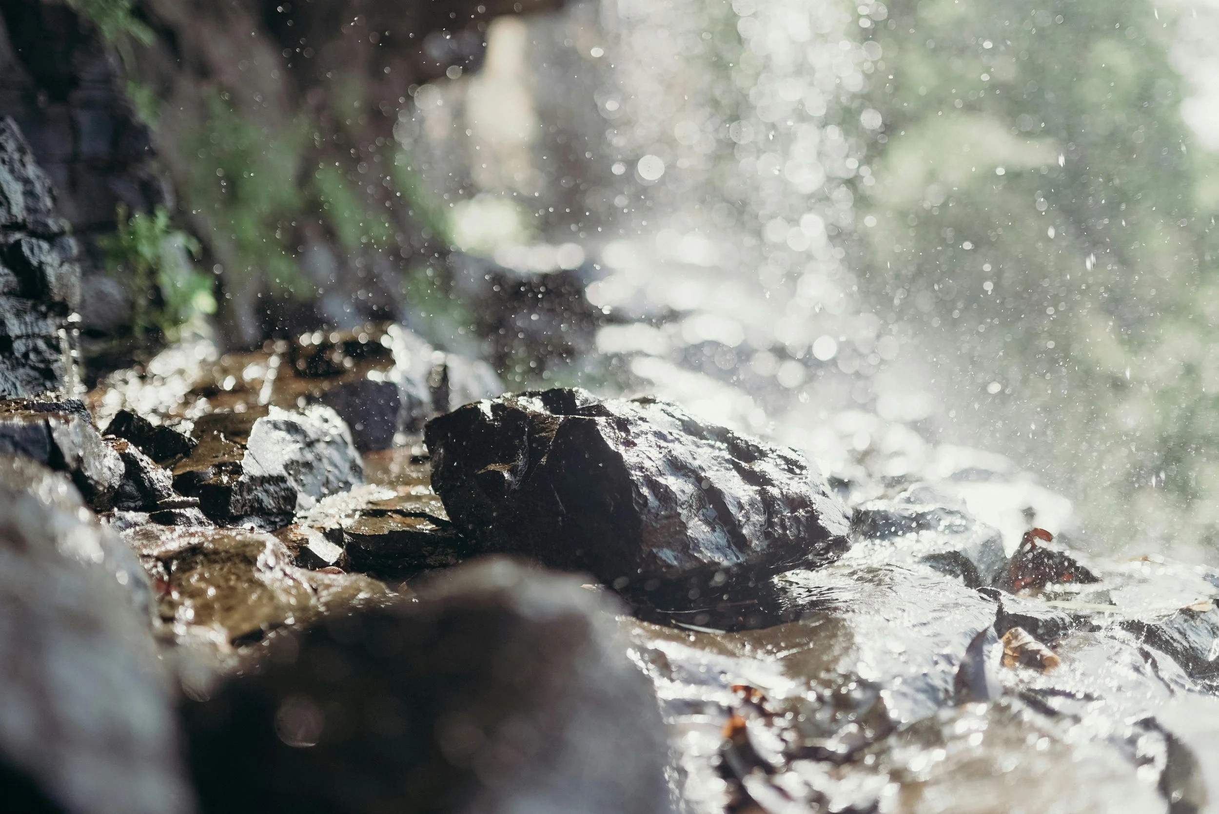 Rocks Cry Out