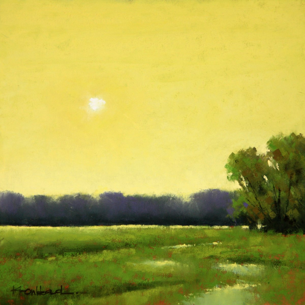 Synthesis Series #232