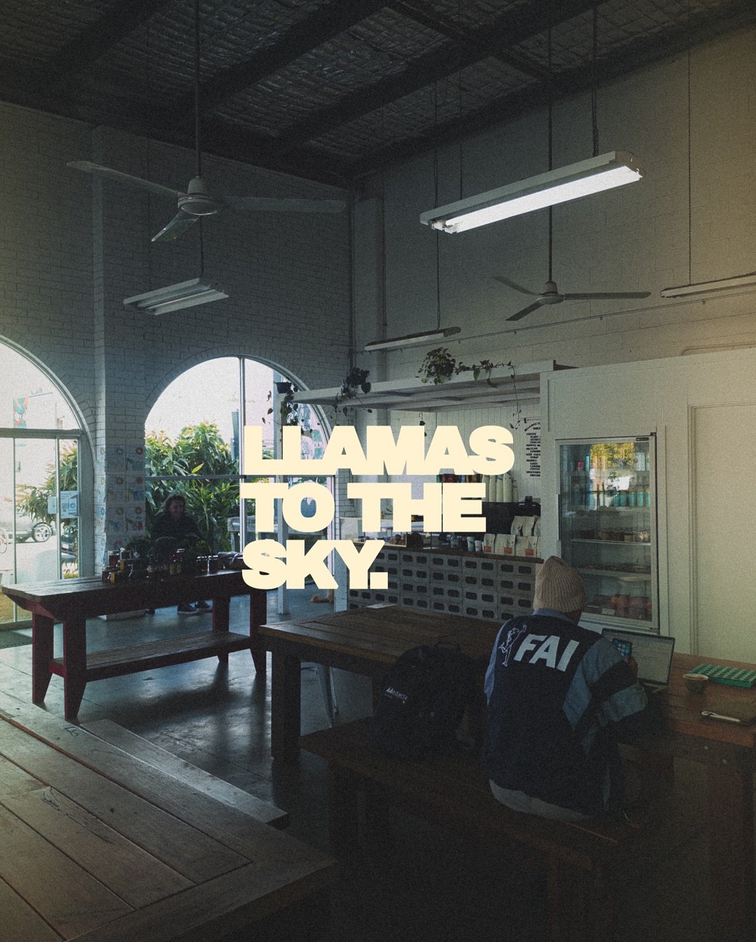 Some film stills from a quick shoot at the new local @llamastothesky_ using Laceys