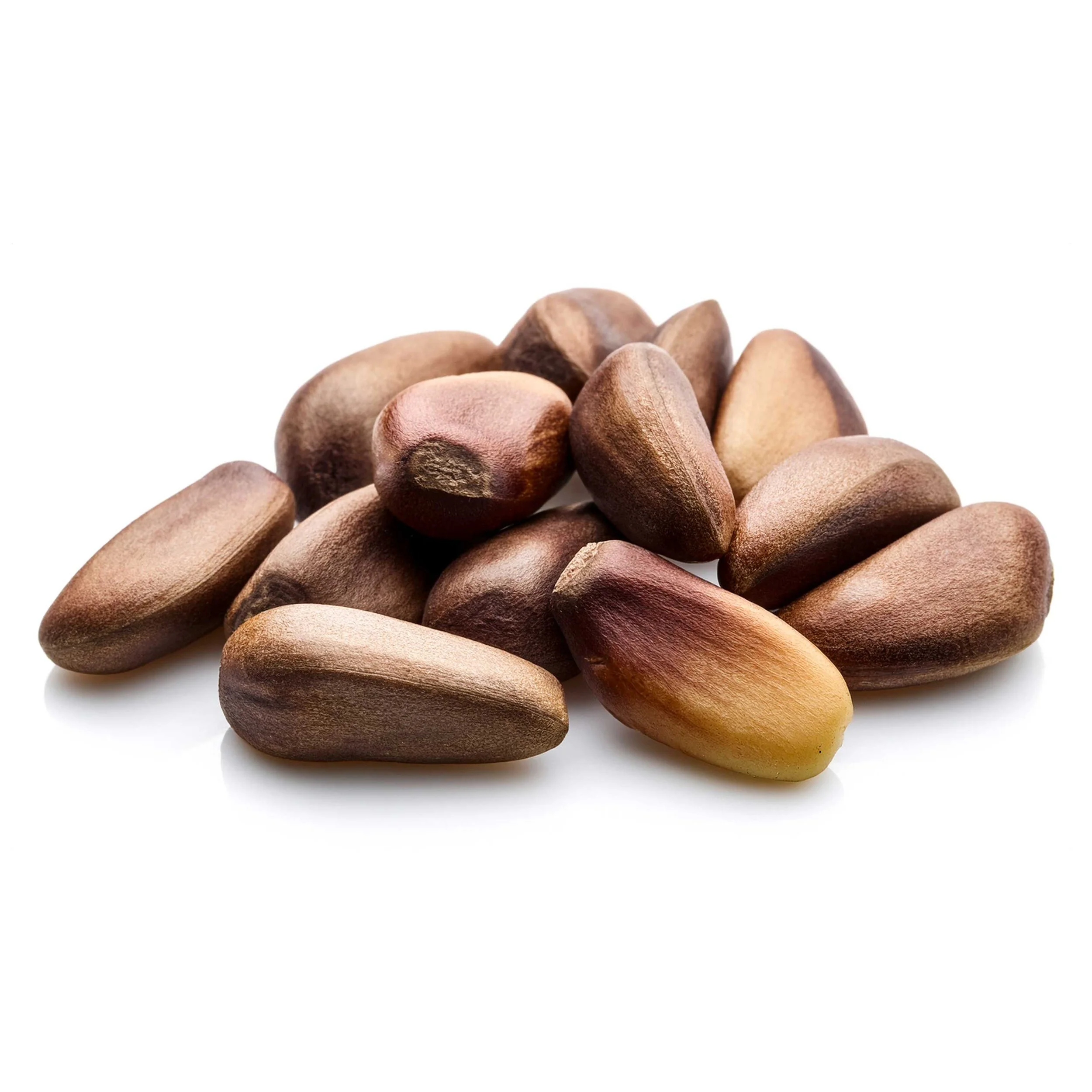 Group of pine nuts