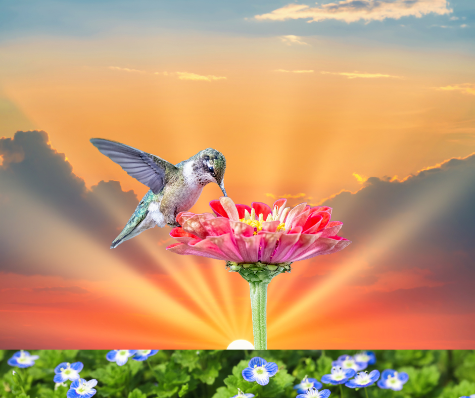 Untitled design (13).png