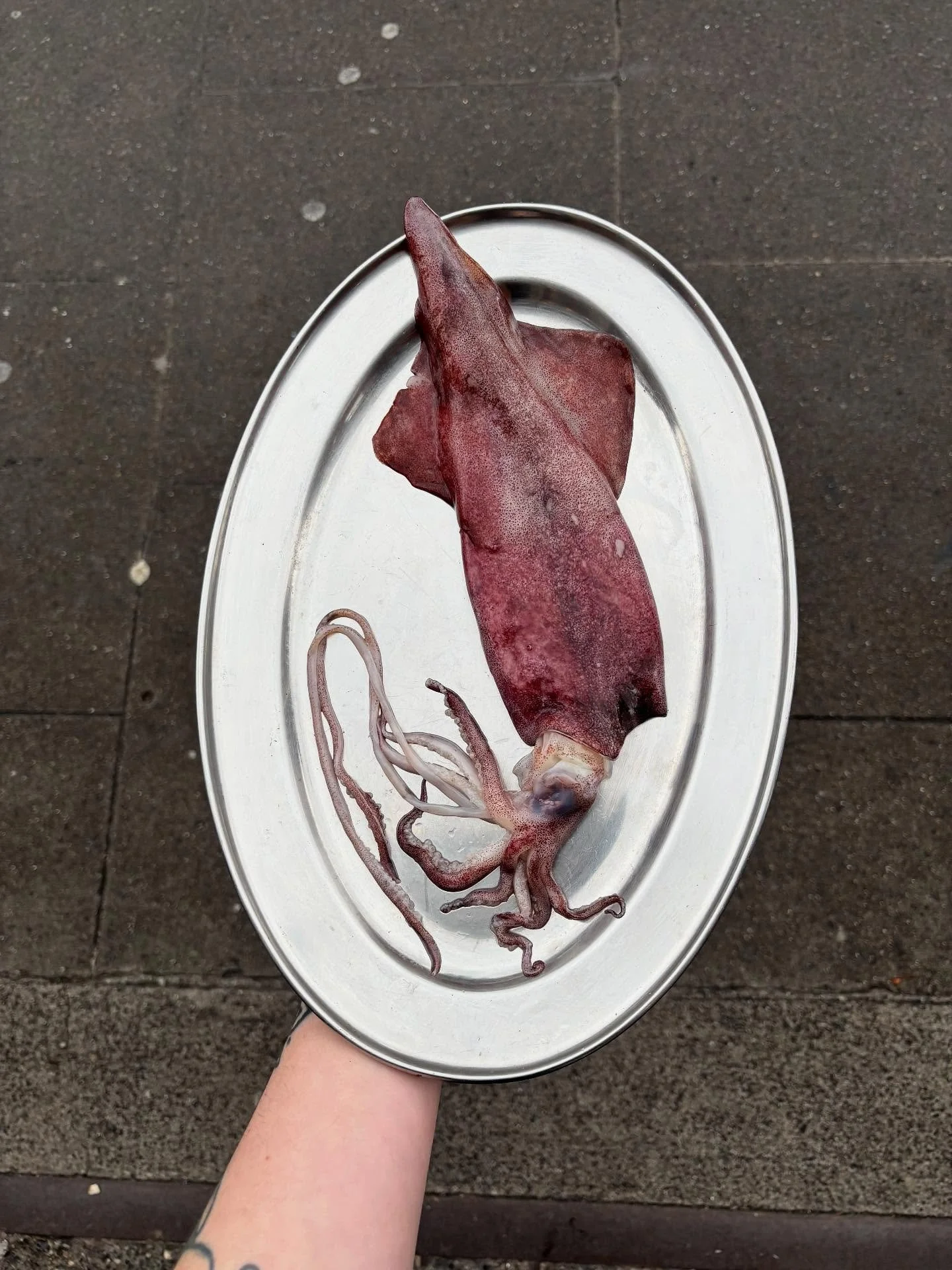Donegal deep-sea squid pad phet is slowly becoming a fan favourite on our menu. 

A dish that really encapsulates what we are trying to do here at achara, using techniques and ideas that our head chef @graemereynolds discovered on his travels across 